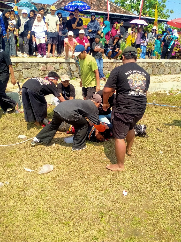 The image depicts an outdoor event in Celep, Indonesia, under bright, direct sunlight.
In the foreground, on a patchy grassy area with visible dry earth and scattered small pieces of white debris, a man is lying prone, face down. He is dressed in dark clothing, with orange and red fabric visible around his head and neck, possibly part of an elaborate costume. Three other men are actively interacting with the prone individual. One man, wearing black pants, a black shirt, and a red headband, is bent over him from the left. Another man, also in black pants and a black shirt featuring a white design and the text "Seni Jaran Dwi Setyo Mudo" on the back, is bent over the prone man from the center. To the right, a third man, barefoot, wearing black shorts and a black t-shirt with the same "Seni Jaran Dwi Setyo Mudo" text and a tiger/demon head graphic, stands looking down, his hands placed on the back of the second bent-over man. A fifth man, wearing a lime green t-shirt and light-colored shorts, stands slightly behind and to the left of the main group, observing. A sixth man, wearing a dark t-shirt and a light-colored cap, is seated on the ground behind the central action, watching. A white rope lies on the ground to the far left.
In the midground, a crowd of approximately 20-30 spectators, comprising adults and children in various casual attire, observes the scene from behind a low stone or concrete wall. Several spectators are holding assorted umbrellas (blue, green, pink, white) for shade. In the background, signs with Indonesian text, including "WARUNG PECEL BE..." and a banner with red and white stripes, are visible. Buildings with tiled roofs and some green foliage are also present, beneath a clear blue sky.
