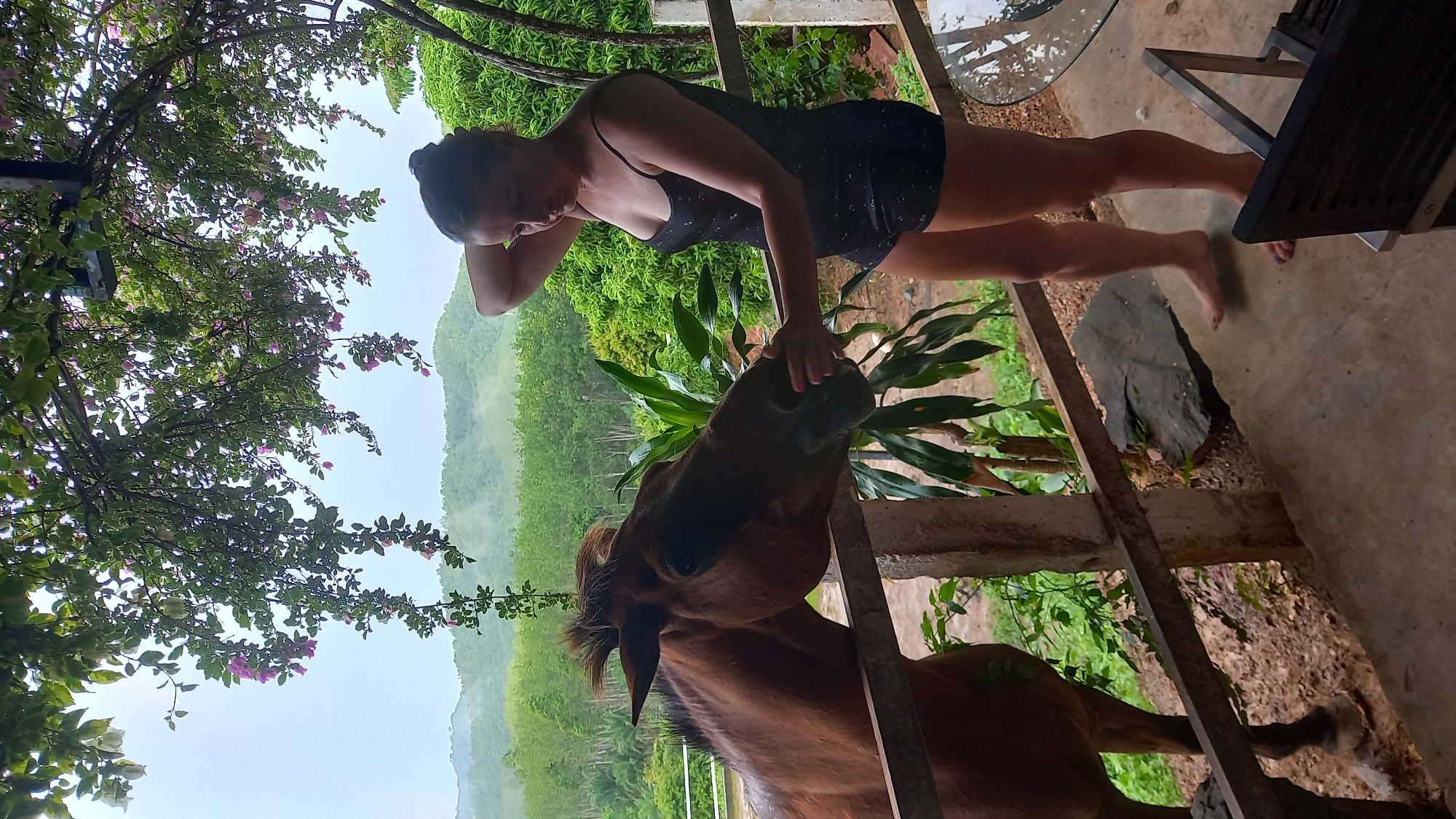 A barefoot woman in a dark spaghetti strap dress is standing on a concrete patio in Ban Tak Daet, Thailand. She is interacting with a brown horse, stroking its face. A tree with pink and white flowers overhangs the scene. In the background, green foliage covers the surrounding hills. A wire fence can be seen between the horse and the woman. Patio furniture is visible in the background.