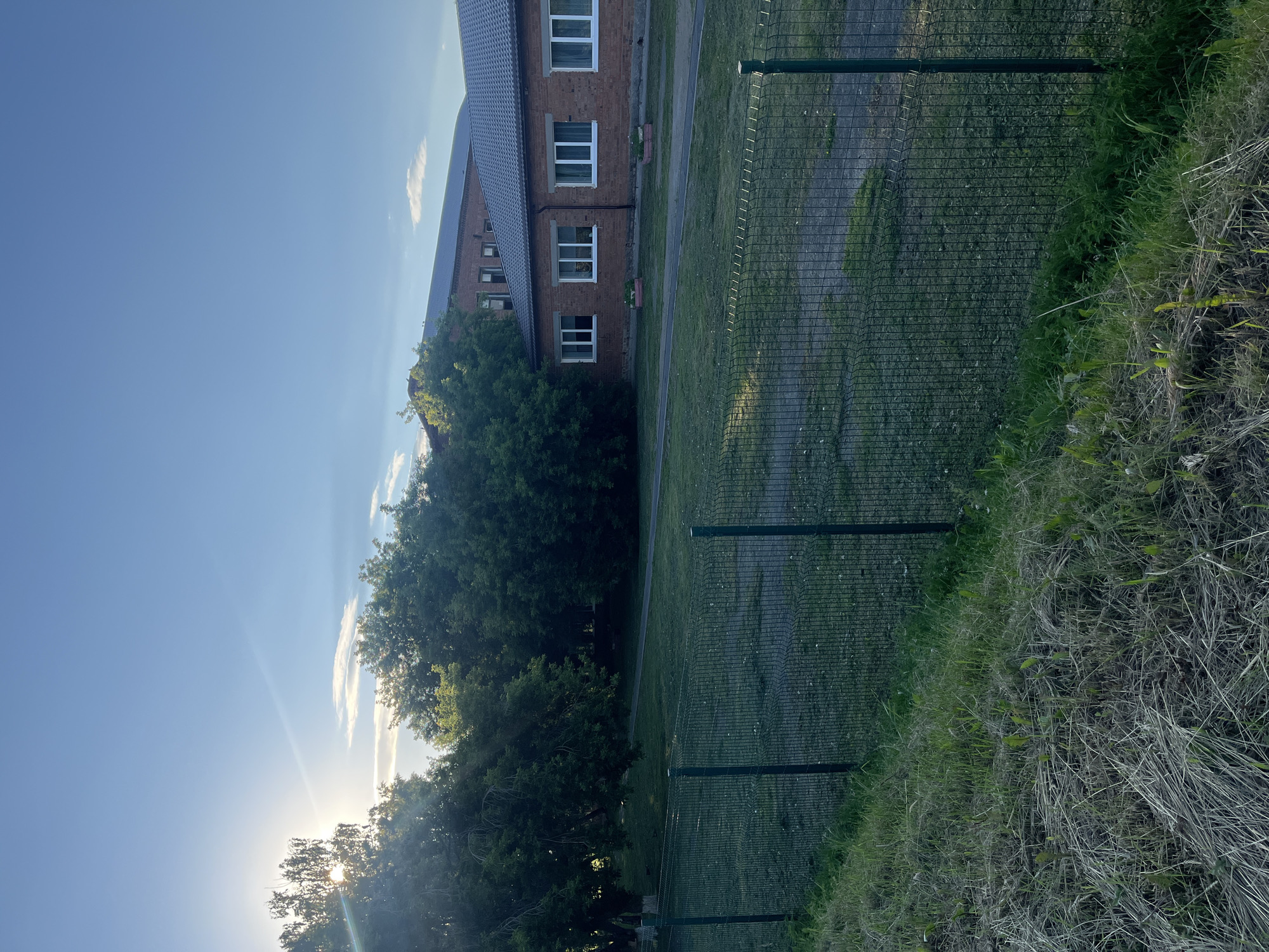 The image captures a view of a brick building with a dark tiled roof, likely a school or administrative facility, located in the city of Brusnyatnoye, Russia. The building has multiple white-framed windows. In front of the building, there is a well-maintained lawn with a walking path and some planters. A metal mesh fence runs across the foreground, separating the lawn area from a grassy slope. Lush green trees are visible to the left of the building, with sunlight breaking through their branches, suggesting it is either early morning or late afternoon. The sky is clear blue with a few wispy clouds. No people are present in the scene.