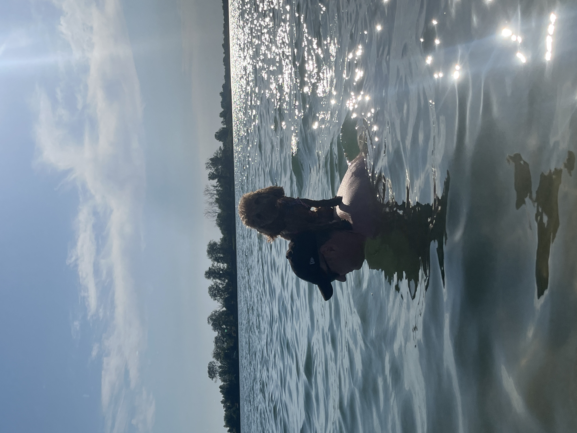 The image shows a person and a dog in a body of water. The person is wearing a dark cap and a green life vest, with their head submerged slightly. The dog, a fluffy, light brown breed, is positioned on the person's back, appearing to be swimming or being held. Sunlight glints off the surface of the water, suggesting a bright, sunny day. The water is calm with gentle ripples. In the background, a treeline is visible along the horizon, with a clear sky above. The scene suggests a recreational activity like swimming or boating. The location context provided is Yelyzavetivka, Ukraine. The time of day appears to be daytime, and the weather is sunny.