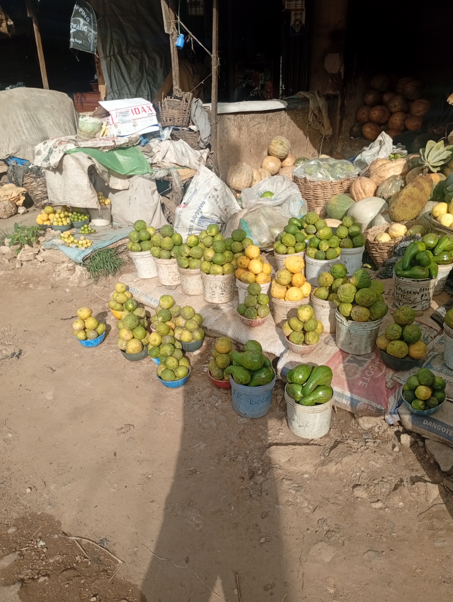 The image depicts an outdoor market scene, likely in Rafin Par, Nigeria. The foreground is dominated by piles of produce, primarily citrus fruits and avocados, arranged in buckets and baskets. There are numerous buckets overflowing with green fruits, some appearing to be limes or small oranges, and others that are clearly avocados with their characteristic shape and texture. Some yellow citrus fruits, likely lemons or larger oranges, are also visible. In the background, larger produce items like pumpkins or gourds are piled high, alongside woven baskets and sacks. Tarps and fabric are used as coverings and backdrops, creating a somewhat makeshift market stall. The ground is dusty and uneven, typical of an outdoor market. No people are clearly visible, though the arrangement of goods suggests a vendor has been or will be present. The overall impression is one of abundance and a vibrant, if somewhat unorganized, marketplace.
