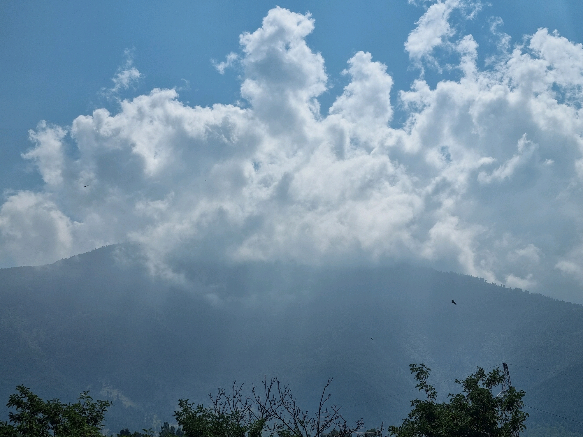 The image shows a panoramic view of a mountain range in Manigam, India, under a partially cloudy sky. The mountain slopes are covered in dense green foliage, with some areas shrouded in mist, creating a hazy, atmospheric effect. Large, billowy white clouds dominate the upper portion of the frame, with some appearing to partially obscure the mountain peaks. In the distance, a bird can be seen soaring against the sky, and another smaller bird is visible on the left side of the frame. In the foreground, the tops of dark green trees and a bare, thorny tree are visible, along with a utility pole and wires. The overall impression is one of natural beauty and tranquility, with the misty mountains and expansive sky creating a sense of depth and scale.