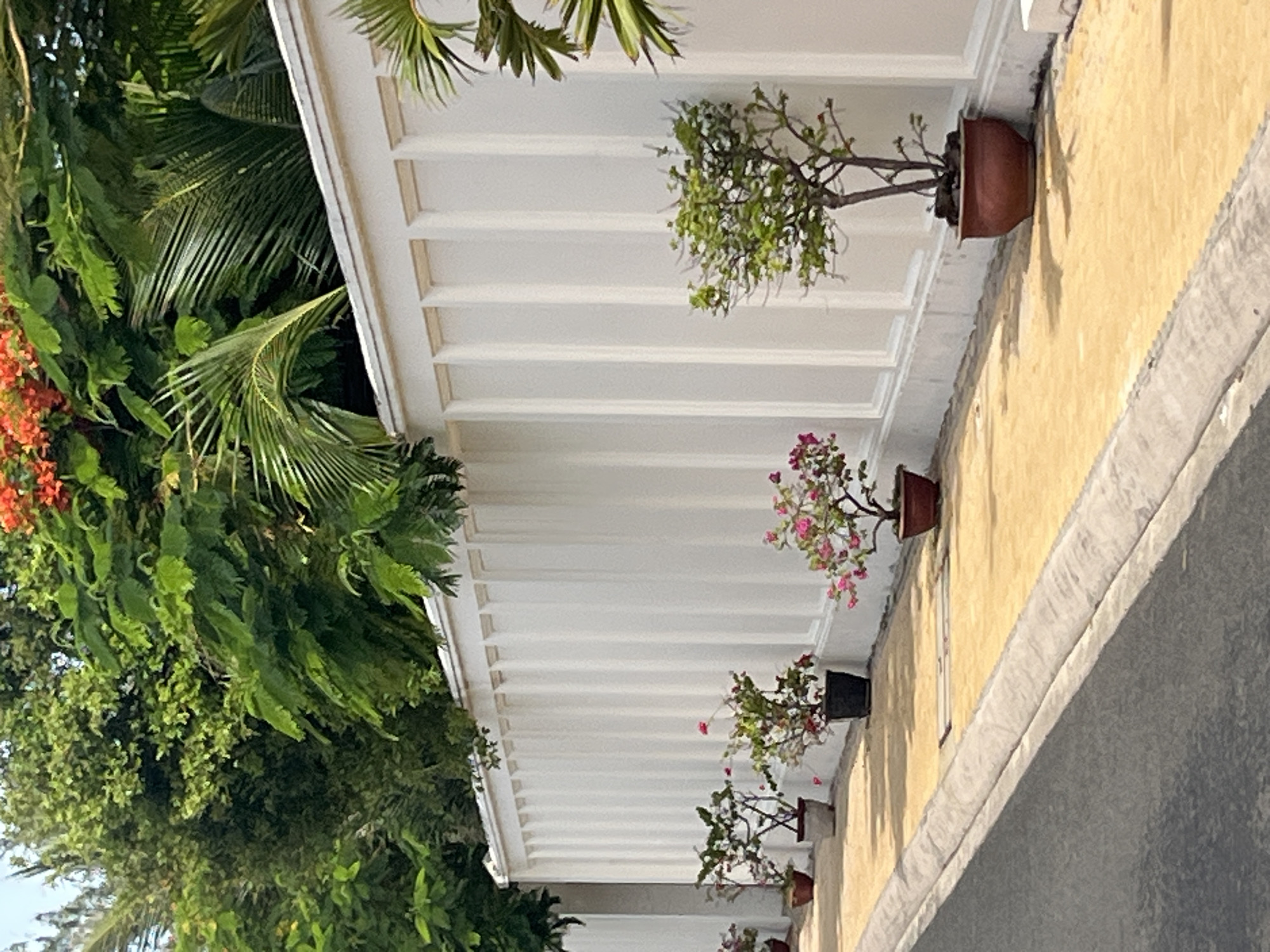 A street scene in Mũi Né, Vietnam, shows a grey asphalt road with a concrete curb. Beside the road is a yellow paved walkway. A tall, white, stucco wall with vertical paneling runs along the walkway. Potted plants are placed along the walkway in front of the wall. Some of the plants have pink flowers, and one has a small tree with green leaves. Lush green trees and foliage, including palm fronds and some orange flowers, are visible above the wall. The scene appears to be a residential or commercial area given the well-maintained wall and landscaping. The lighting suggests it is daytime, with sunlight casting shadows on the walkway. There are no people visible in the image.