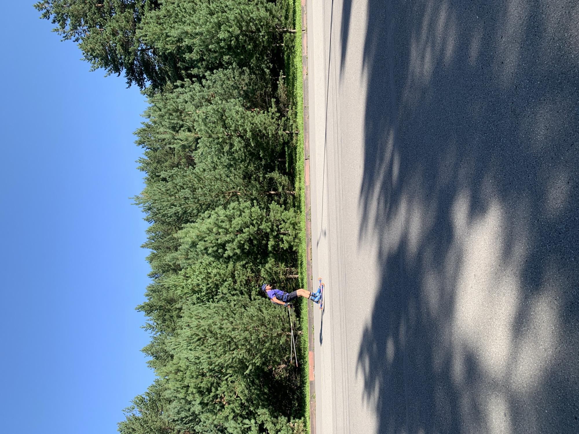 The image depicts a person roller skiing on an asphalt road in Prokopyevsk, Russia. The person is wearing a blue shirt, black shorts, a dark helmet, and blue roller skis. They are holding two poles, one in each hand, which are extended behind them. The road is bordered by a grassy area and a dense line of green pine trees. The sky is clear and blue. The foreground of the image shows the asphalt road with shadows of trees cast upon it.