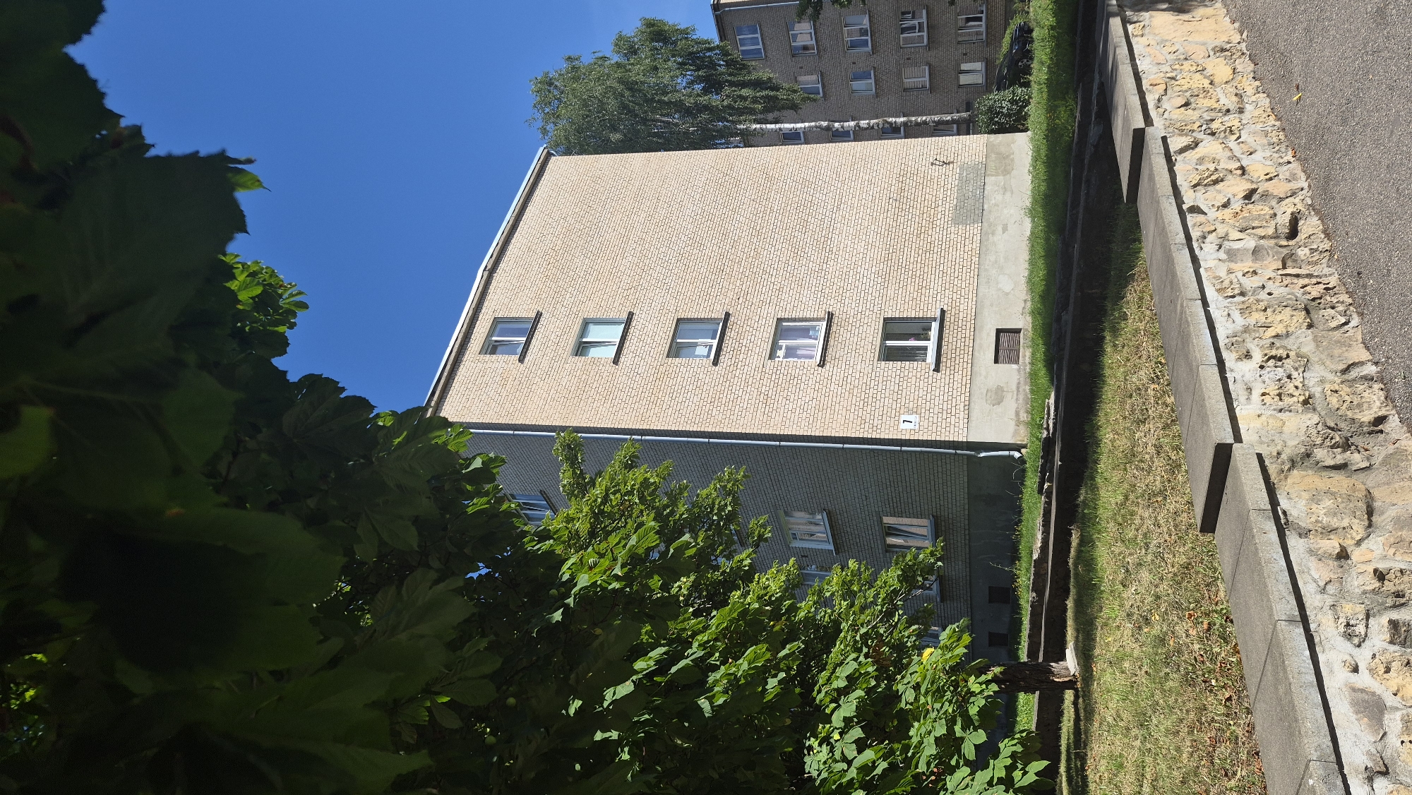 A pale brick apartment building, possibly located at street number 7, stands tall under a clear blue sky. Lush green foliage from a nearby tree partially obscures the left side of the building, casting shadows on the facade. The building features multiple windows with white frames. A lighter grey adjacent building with similar windows is visible to the right, partially obscured by a tall, slender birch tree with white bark and drooping branches. In the foreground, a low stone wall with a concrete cap separates a paved walkway from a grassy area. The grass appears somewhat dry and patchy, with some fallen leaves and debris scattered around. The scene suggests a residential area in Daugavpils, Latvia, on a sunny day.