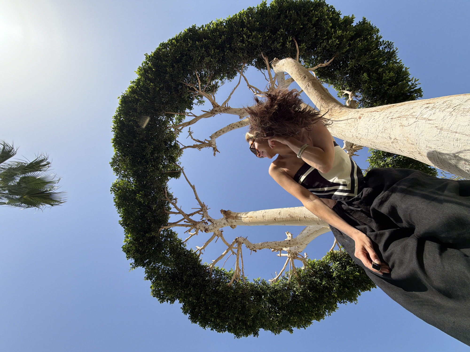 A low-angle shot shows a woman standing near a tree with a large, circular canopy, against a clear blue sky. The woman is wearing sunglasses, a black and white top, and a long black skirt. She is looking to the side and appears to be adjusting her hair or earrings. The tree has a thick, light-colored trunk and branches that are covered in dense green foliage, forming an almost perfect circle. A palm tree is visible in the background to the left. The image was taken in Sharm El Sheikh, Egypt.