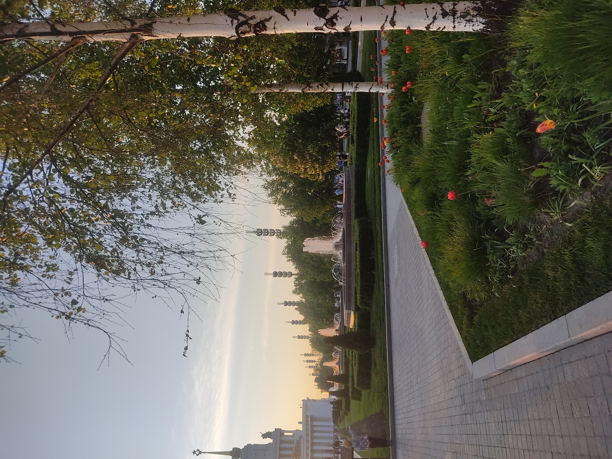 The image depicts a view along a pathway in Moscow, Russia, likely at VDNKh (Exhibition of Achievements of National Economy). A paved pathway runs diagonally from the bottom right corner toward the center of the image. Along the pathway are patches of green grass and flowerbeds with red tulips. A row of trimmed bushes and trees are to the left of the pathway, leading towards a series of fountains in the distance. Beyond the fountains, tall metal structures are visible, likely part of the exhibition complex. A large building with a spire can be seen at the bottom. Trees, including birch trees with white bark, line the scene at the top. People can be seen seated on benches in the background. The sky is visible above the trees and buildings, showing a pale blue color with a hint of yellow at the horizon, indicating either sunrise or sunset.