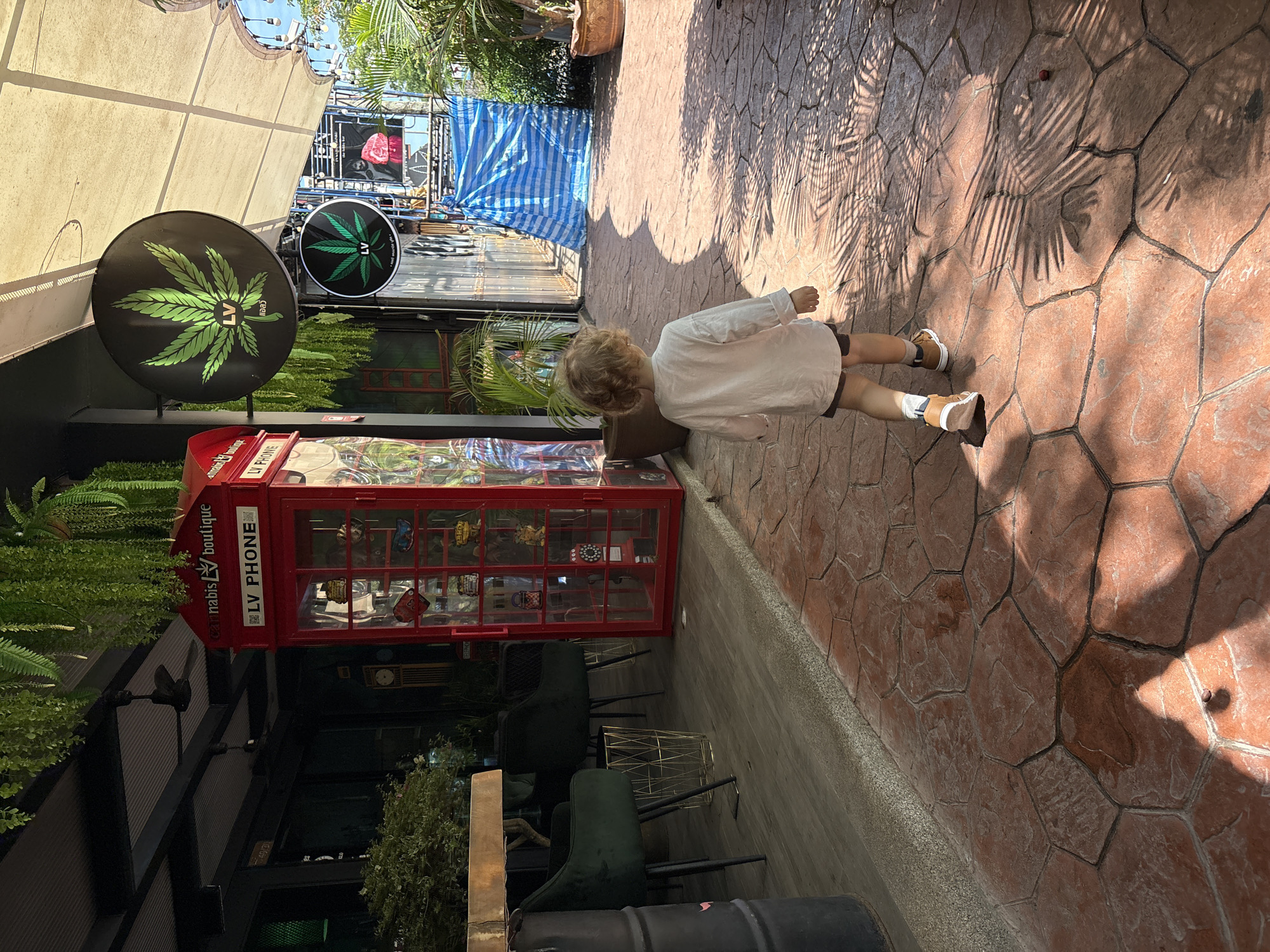 A young child with curly blonde hair walks away from the camera on a stone-paved path. The child is wearing a long-sleeved white shirt and dark shorts. Sunlight casts dappled shadows from palm fronds onto the path. To the left of the child is a bright red, British-style telephone booth that has been repurposed as a display case, featuring various items inside, including what appear to be vintage toys and a rotary phone. Above the telephone booth, a sign reads "cannabis LV boutique". Further to the right, a round black sign with a green cannabis leaf logo and the letters "LV" is visible. The scene appears to be outdoors, possibly in a market or shopping area in Choeng Thale, Thailand, indicated by the palm trees and tropical plants. A blue tarp is visible in the background, suggesting ongoing construction or renovation.