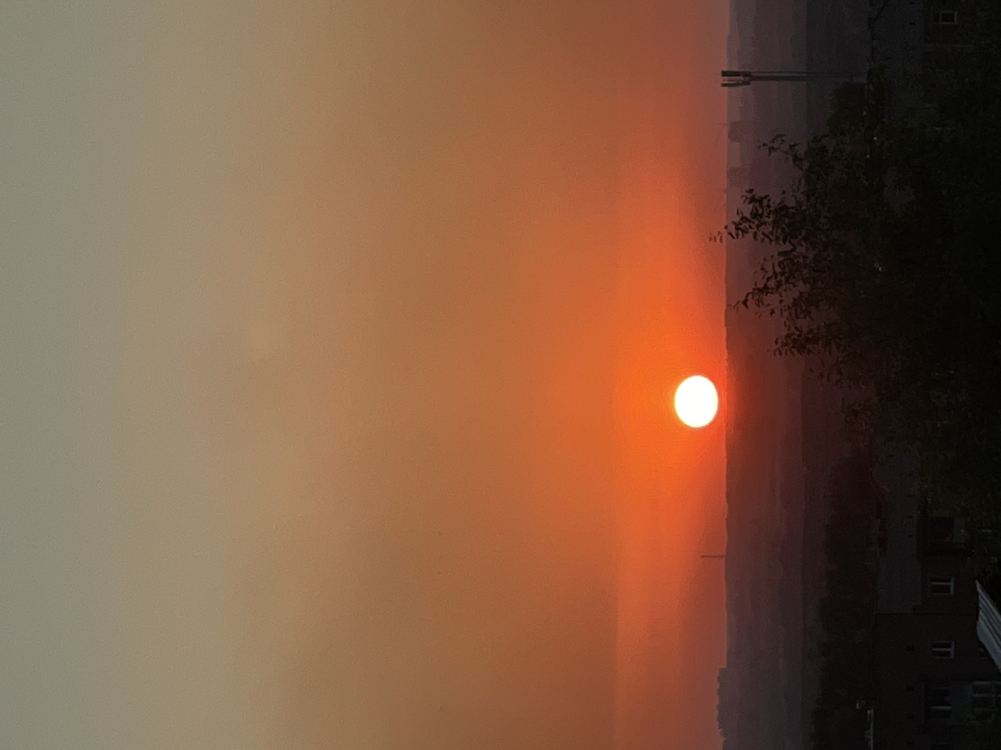 The image is a vertical, full-frame photograph of a sunset over a city. The sun, a bright white circle, is positioned in the lower third of the frame, slightly off-center to the left. It casts a warm, orange glow across the sky, which transitions to a pale orange and then to a dusky gray at the top of the frame.
In the mid-ground, a hazy, silhouetted landscape of buildings and trees stretches across the horizon. A tall, slender tower, possibly a radio or cell tower, stands on the right side of the frame. In the foreground, the dark silhouettes of trees and buildings suggest a residential area. The overall impression is one of a calm and serene evening in a moderately sized city, likely Novokuznetsk, Russia, given the context provided.