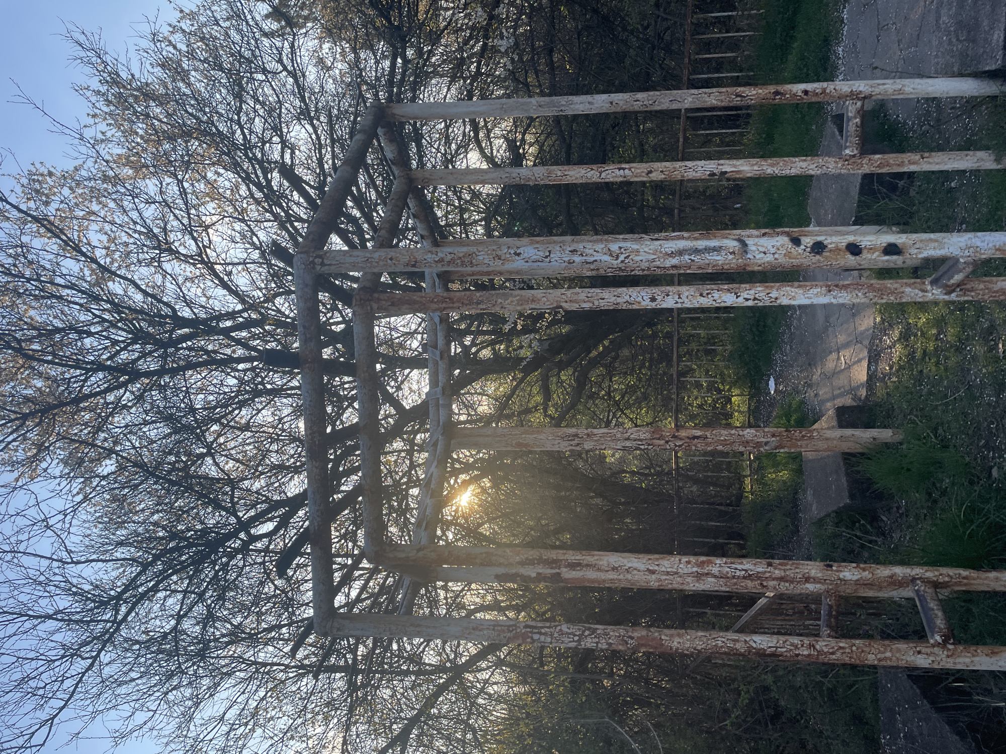 The image shows a weathered, white-painted metal gate with rust showing through, set against a backdrop of trees and the sky. The gate is in the foreground, partially obscuring the view beyond. The trees are mostly bare, with some hints of early spring foliage. Sunlight filters through the trees and gate, creating a bright spot in the center of the image. A path or road is visible through the gate opening. Based on the general style and the presence of similar structures in the area, it is likely that the gate is located in or near a park in Sofia, Bulgaria.
