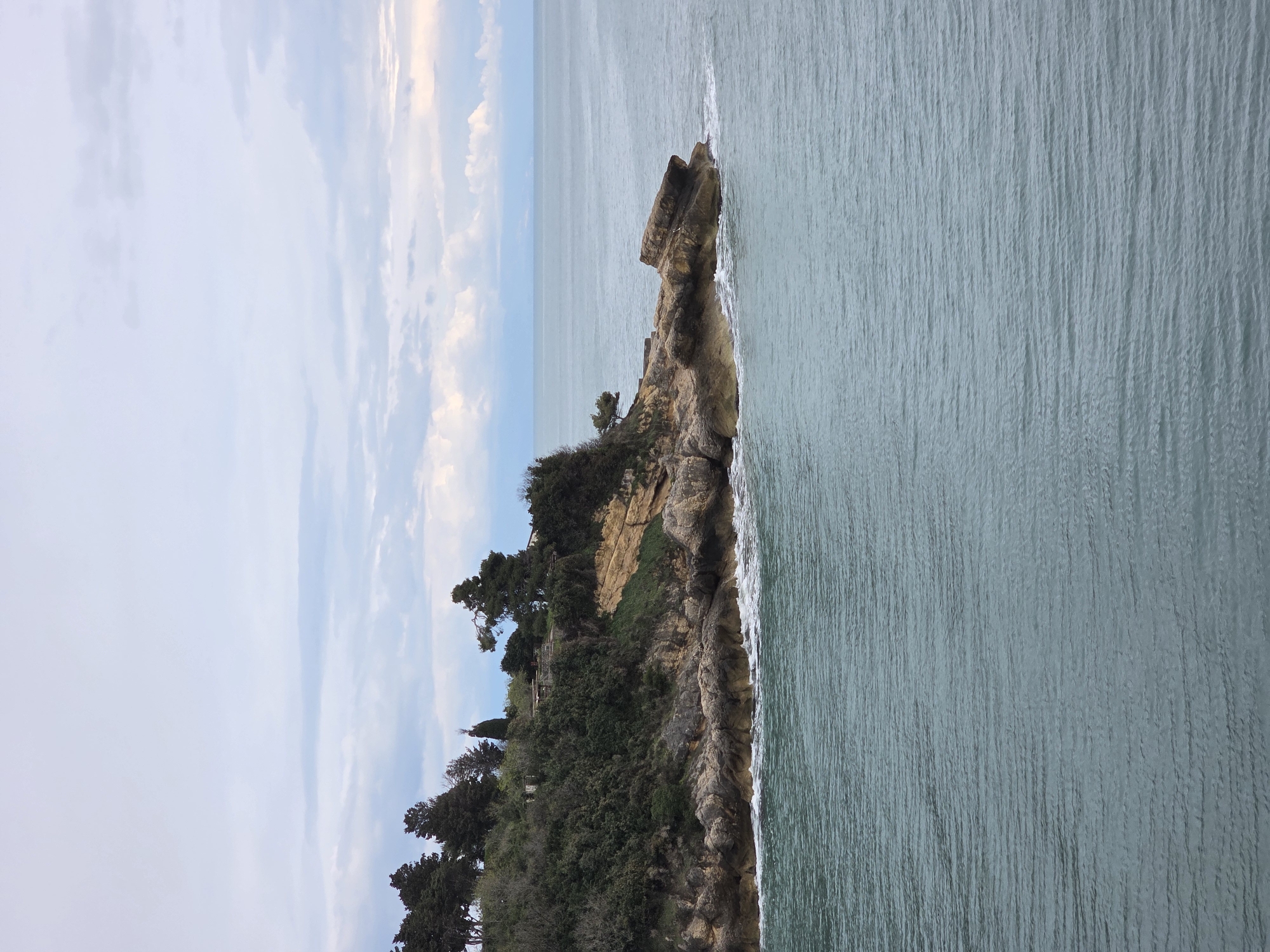 The image displays a coastal landscape in Ulcinj - Ulqin, Montenegro, under an overcast sky with scattered grey and white clouds. A prominent rocky headland, densely covered with dark green coniferous trees and various shrubs, extends from the left side of the frame into the sea. The visible cliff face exhibits stratified rock formations in shades of grey-brown and yellowish-brown. On the upper portion of the headland, partially obscured by foliage, are subtle indications of light-colored human-made structures, possibly buildings or walls. A set of light-colored steps is visible descending towards the water near the tip of the landmass. The sea, occupying the foreground and midground, is a dark teal-blue, characterized by surface ripples and active white foam generated by waves impacting the rocky shoreline. No individuals or wildlife are present in the scene.