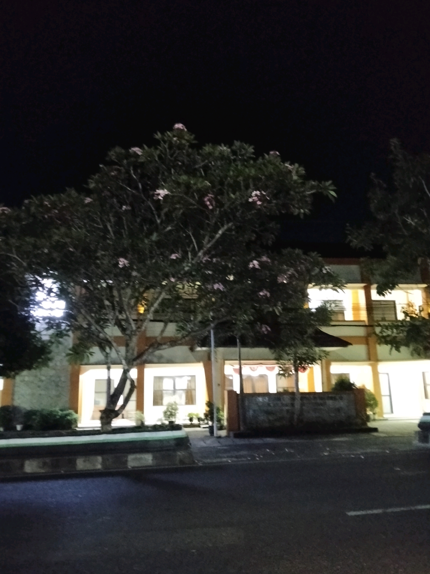 The image captures a nighttime scene in front of a building, likely in Kliwonan, Indonesia. A large tree with delicate pink flowers is prominently featured in the foreground, its branches reaching towards the dark sky. Behind the tree, the building stands illuminated by interior lights, revealing multiple windows and balconies. The architecture appears to be modern, with cream-colored walls and orange accents around the windows and structural elements. The ground in front of the building is paved with asphalt, and a low, concrete planter box separates the walkway from the road. The overall atmosphere is tranquil, with the artificial lights of the building contrasting with the natural darkness of the night. There are no people visible in the image, and the scene is static.