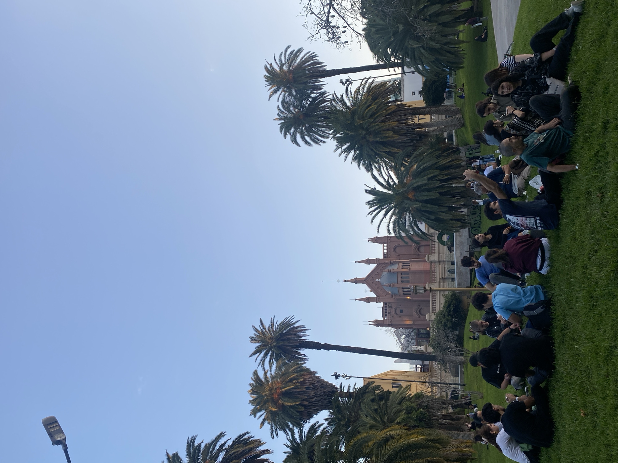 The image, when correctly oriented, captures a vibrant outdoor scene in a park-like setting, likely during daytime under a clear blue sky.
In the background, a distinctive and ornate brick building with multiple spires, towers, and domes stands prominently, suggesting historical or significant architecture. The midground and foreground are dominated by a lush green lawn where a large group of people are gathered.
The subjects are primarily young adults and adults, casually seated or crouching on the grass. They appear to be in various small groups, engaging in relaxed conversation or observing their surroundings. One woman in the upper right section of the group is looking towards the camera with a gentle smile, conveying a pleasant and comfortable atmosphere. Their attire is informal and everyday.
Numerous tall palm trees with full, verdant fronds are scattered across the landscape, framing the background building and enhancing the park's tropical or subtropical ambiance. A modern street lamp is visible in the lower left of the frame. The clear, bright blue sky indicates fair weather.
The scene depicts a casual social gathering or a group enjoying leisure time in an urban park. Based on the architectural style of the building and the prevalence of palm trees, the setting is consistent with a location such as Buenos Aires, Argentina. There is no clearly visible text on any signs, clothing, or the building itself.