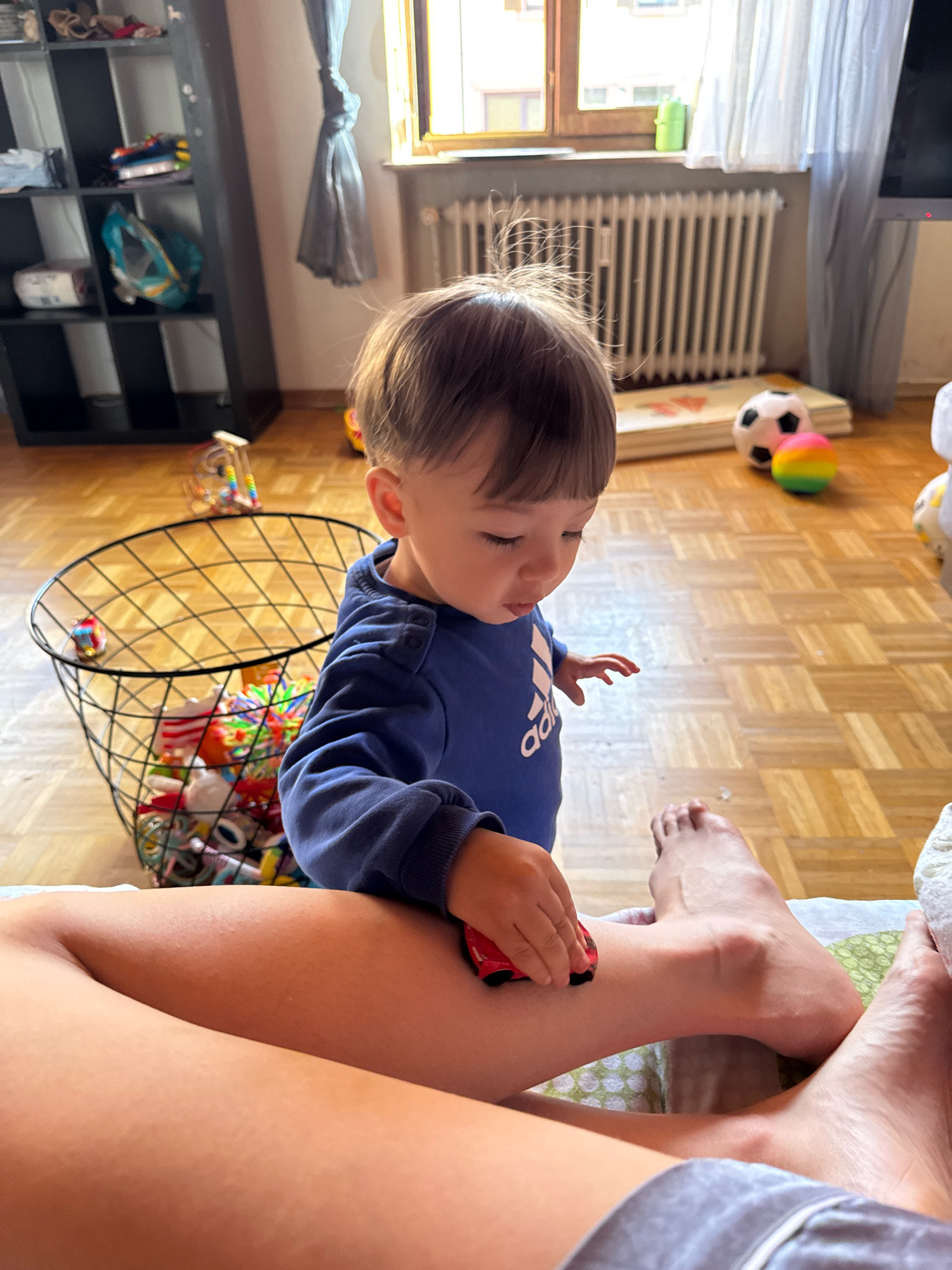 In a brightly lit indoor setting, a young toddler, dressed in a blue long-sleeved shirt with the "adidas" logo visible, is playing on a wooden parquet floor. The toddler is holding a small red toy car and appears to be interacting with an adult's leg, which is in the foreground of the image. The toddler's hair is dark and neatly cut, and their expression suggests focus and engagement with the toy.
Behind the toddler, a large black wire basket is filled with various toys, including colorful balls and other small play items. Further in the background, several other toys are scattered on the floor, including two small soccer balls, one black and white and the other a rainbow of colors. A white and green play mat is partially visible.
To the left of the frame, a tall black shelf unit is packed with various items, including what appear to be books or boxes. A window with gray curtains is visible behind the toddler, and natural light streams in, suggesting it is daytime. A radiator is mounted below the window. The overall scene depicts a casual, domestic environment, likely a living room or playroom, where a child is engrossed in play. The location context is Überherrn, Germany.