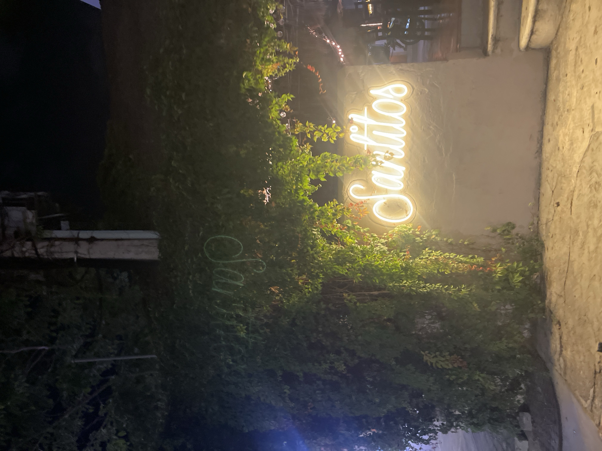 The photograph captures an outdoor scene, likely at night or in low light conditions. A bright, vertically oriented neon sign spells out "Sartitos" in a cursive script, positioned against a building facade largely covered in dense green vegetation. Below the neon sign, the name "Sartitos" is faintly replicated in green lights amidst the foliage. The building's wall, visible on the right side of the frame, appears to be constructed from a rough, textured material, possibly stone or concrete, with vertical cracks and discoloration. The foreground is shrouded in deep shadow, hinting at further vegetation or structural elements. The general composition suggests the entrance or signage of a business, potentially a restaurant or bar, in a location where greenery is abundant. The location of the image is Playa del Carmen, Mexico.