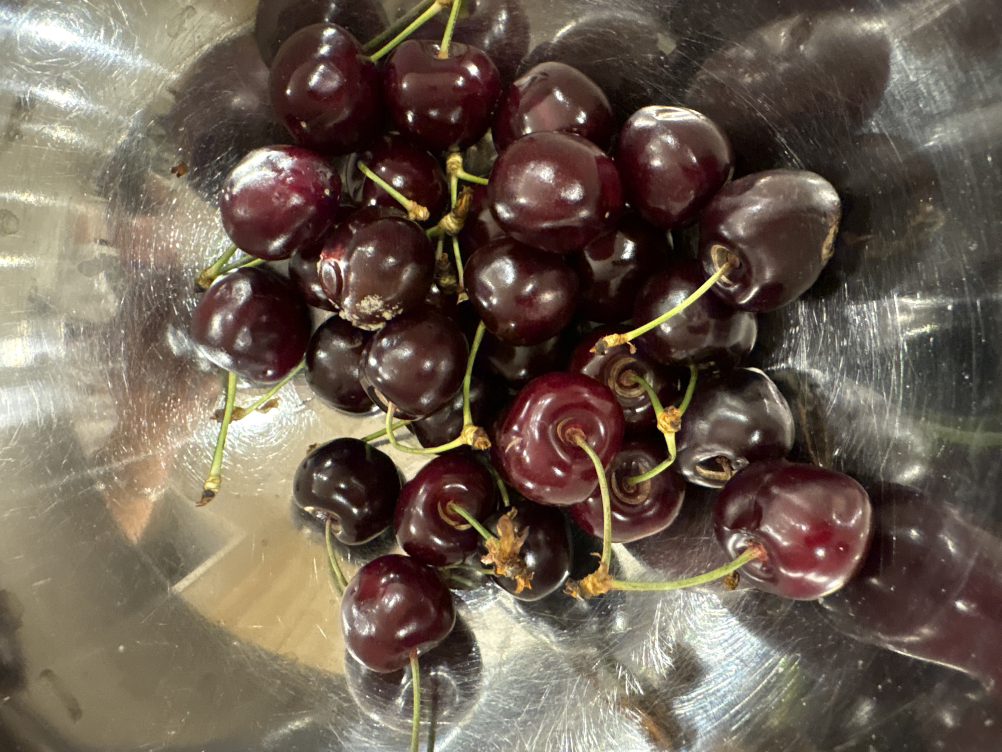 A close-up, top-down shot reveals a collection of dark red cherries with green stems clustered inside a shiny, stainless steel bowl. The bowl's surface reflects light, creating bright highlights and dark shadows. The cherries vary slightly in size and color, with some exhibiting minor imperfections. The scene is indoors, with the bowl likely situated on a surface that's not visible in the frame. The location is unspecified.