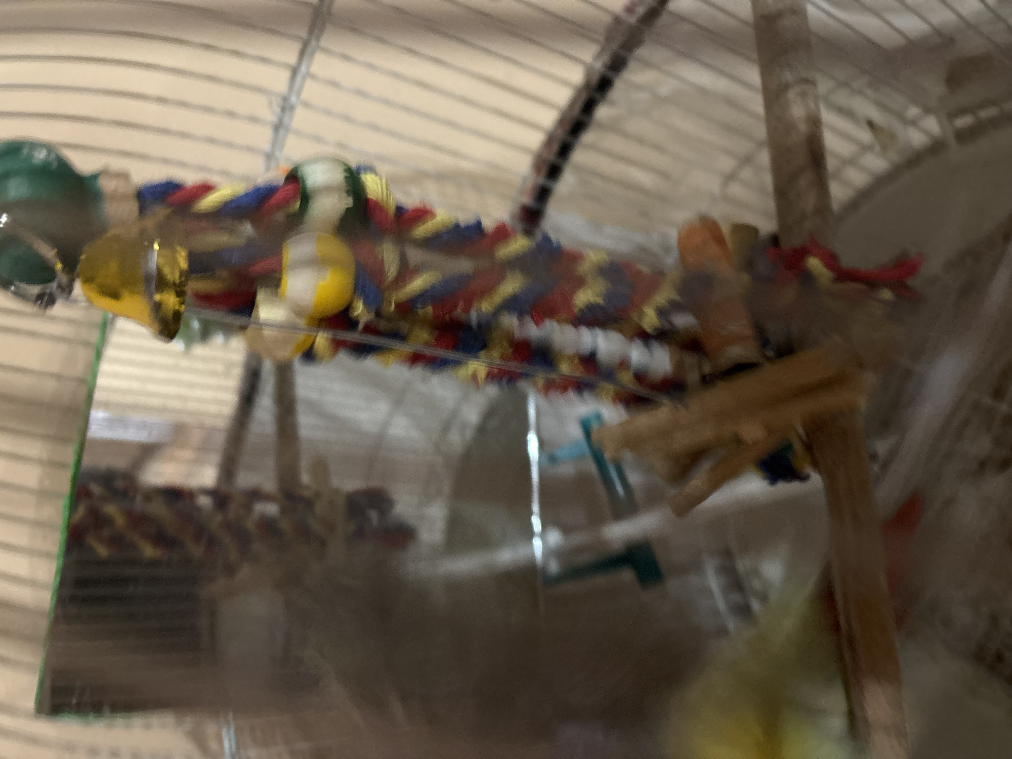 The image depicts the interior of a birdcage. Inside the cage are several toys, including a rope toy with colorful strands (red, yellow, blue, and white), a mirror with a green border, a wooden perch, and a bell. The cage is made of wire and is blurred. The location is not discernible from the image.