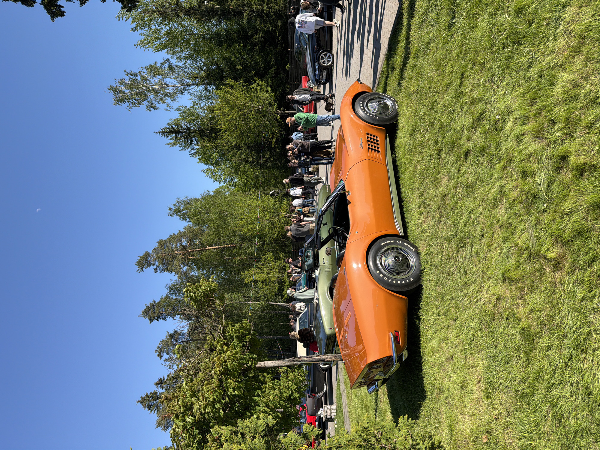 The scene depicts a car show in Repino, Russia on a sunny day. Several classic cars, including an orange Corvette, are parked on a grassy field beside a paved path. A crowd of people are milling around, observing the vehicles. Trees are visible in the background, with a clear blue sky overhead.