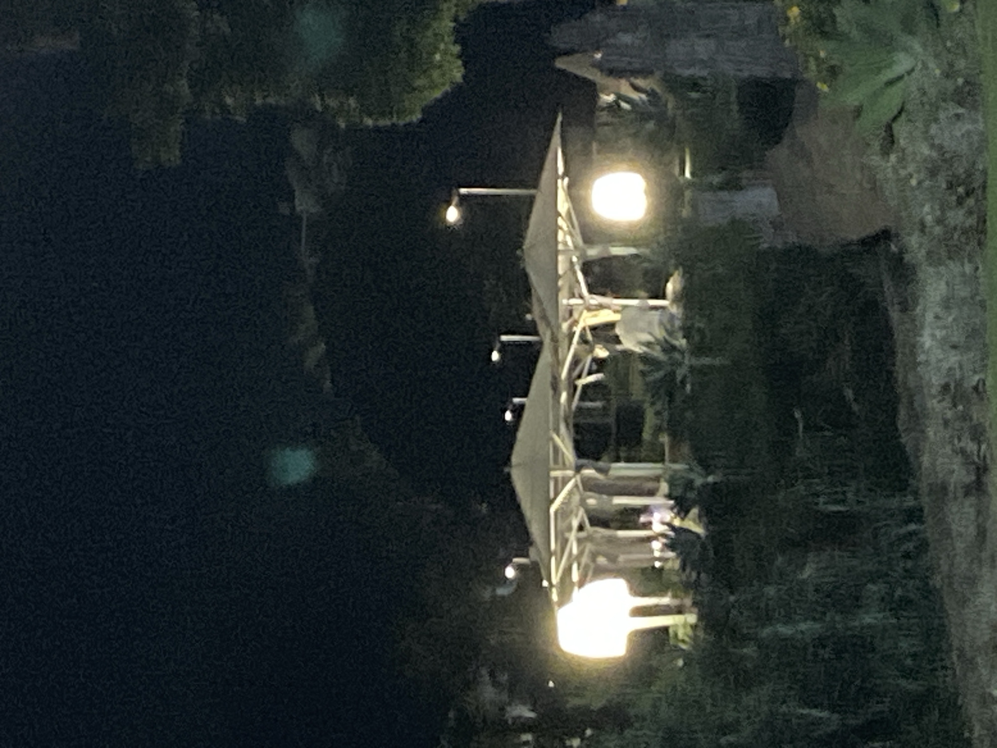 At night, a park area in Estepona, Spain, is illuminated by artificial lighting. Large, white umbrella-like structures with a central pole and radiating supports are visible, casting shadows and providing overhead cover. One of these structures is lit from below by a large, glowing white lamp. Several streetlights on tall poles are also visible in the background, illuminating the area further. The ground is covered with low-lying plants and some larger, spiky foliage. In the middle ground, behind the umbrella structures, a few indistinct figures can be seen, appearing to be people, with one figure in the background wearing a light-colored shirt. The overall scene suggests an outdoor seating or gathering area at a public park or resort.