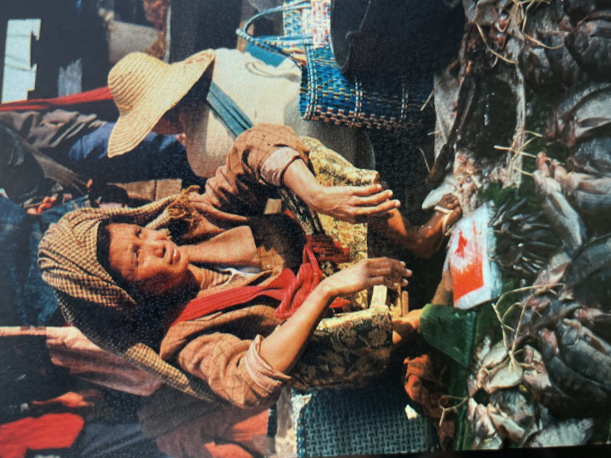 An eye-level medium shot captures a seated woman in a bustling market in Sejahtera, Indonesia. She wears a brown headscarf with a patterned weave, a brown jacket over a red garment, and a skirt with a floral pattern. Her hands rest on her thighs. In the foreground, a variety of fish, some whole and some cut, are displayed on a surface covered with green leaves. A white object with red markings and a woven blue basket are also visible near the woman. The background is indistinct, suggesting other market activity.