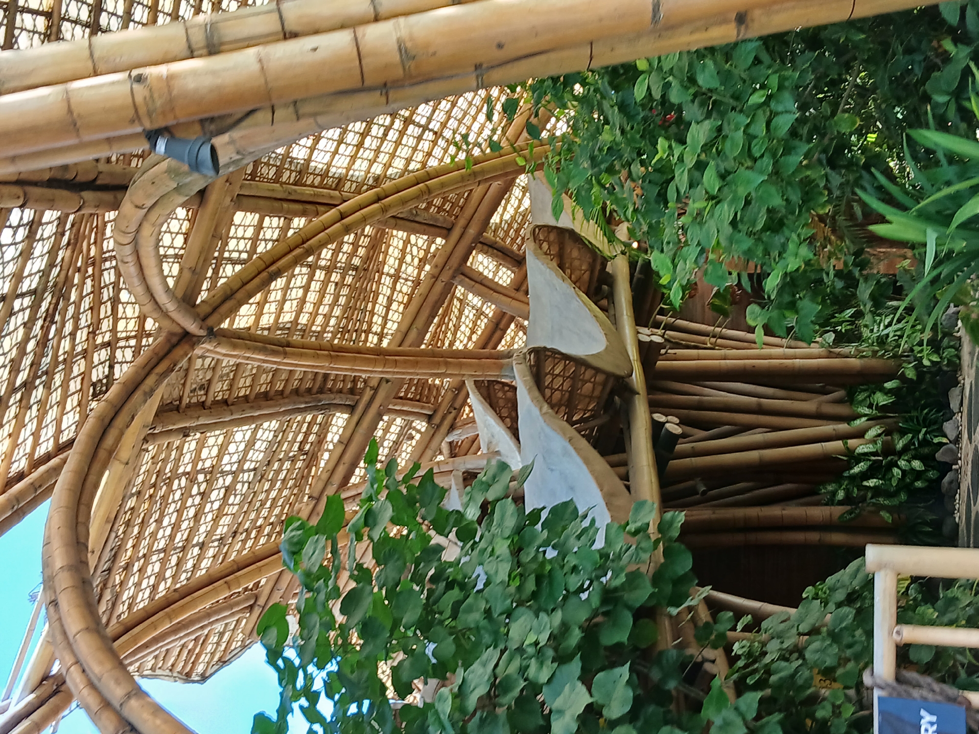 The image shows the interior of a building constructed primarily from bamboo, with a woven bamboo roof and arched bamboo supports. Lush green foliage, likely from trees and plants, partially obscures the bamboo structure. In the foreground, a light-colored wooden railing with a dark blue sign indicating "RY" is visible. The architecture suggests a tropical or semi-tropical setting. The context of the location in Mengwi, Indonesia, points towards a cultural or natural attraction such as a temple, a resort, or a botanical garden, where bamboo construction is often employed for its aesthetic and sustainable qualities. The lighting suggests it is daytime, with sunlight filtering through the woven roof, creating a warm, dappled effect.