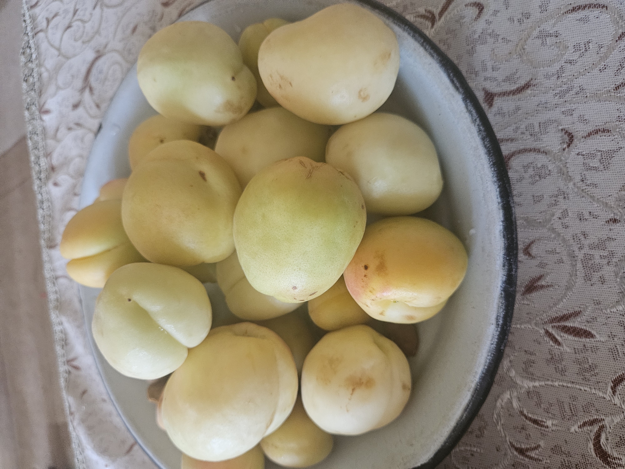 A plate of pale yellow and white apricots is pictured on a tablecloth. The apricots are round and smooth, with a visible crease down the center of most of them. Some apricots have small brown speckles. The plate is a light blue or grey color with a darker rim. The tablecloth is white with a faint, repeating pattern of reddish-brown leaves. The image appears to be taken indoors, likely in a kitchen or dining area. The specific location in Jrashen, Armenia is not evident from the image itself.