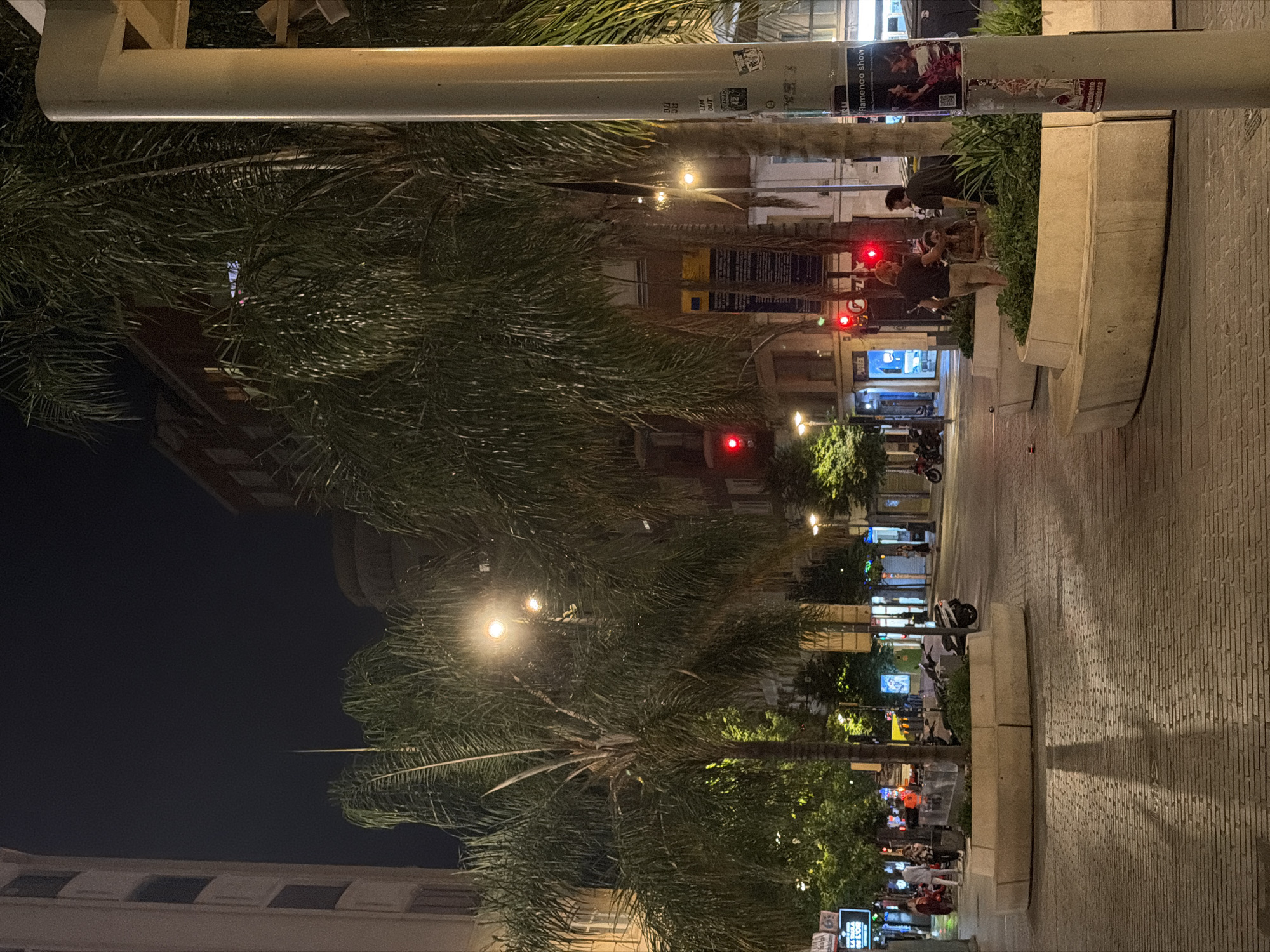 The image depicts a nighttime street scene in Valencia, Spain, likely on a pedestrianized avenue lined with palm trees and buildings. The paving stones of the sidewalk are illuminated by streetlights and lights from the surrounding shops and buildings.
In the foreground, a curved, concrete planter box is filled with lush green plants and a palm tree trunk. The shadows of the palm trees are cast across the patterned brickwork of the street.
On the right side of the image, a tall, cream-colored lamppost is prominently featured. It has several stickers attached to it, including one advertising a "Flamenco show".
Further down the street, traffic lights are visible, displaying a red signal. Several people are present: two men are standing near the planter box talking, while a third person sits on a low wall. In the middle ground, a few motorcycles and scooters are parked. On the left side of the street, more shops and buildings are visible, with some illuminated signs. A few people are also seen walking or standing on the left side of the street. The overall atmosphere is that of a lively urban environment at night.