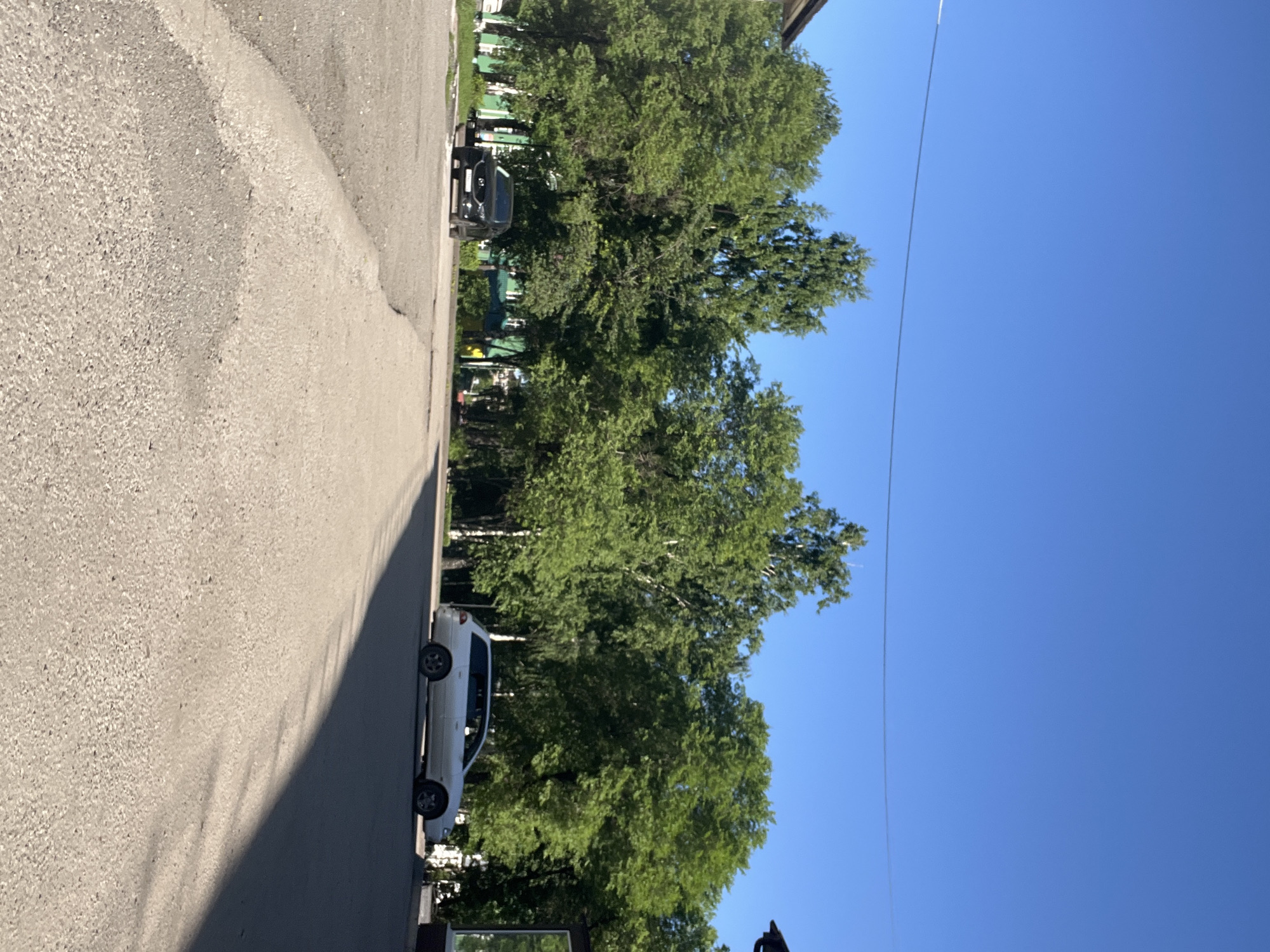 The image captures a street scene in Kiselyovsk, Russia, on a clear, sunny day. The foreground is dominated by a paved road with visible asphalt texture and a slight incline towards the right. A shadow stretches across the road from the right edge of the frame, suggesting the sun is positioned to the left and slightly behind the viewer.
In the middle ground, on the left side of the road, a black SUV is parked. Further back, behind the SUV and stretching across the image, is a dense line of lush green trees with some deciduous varieties. Their leaves are full, indicating a warmer season, likely summer.
To the right of the trees and further down the road, a light-colored station wagon is parked. The background reveals more trees and hints of buildings and structures, suggesting an urban or semi-urban environment within Kiselyovsk. The sky is a vibrant, cloudless blue. There are no people visible in the image.