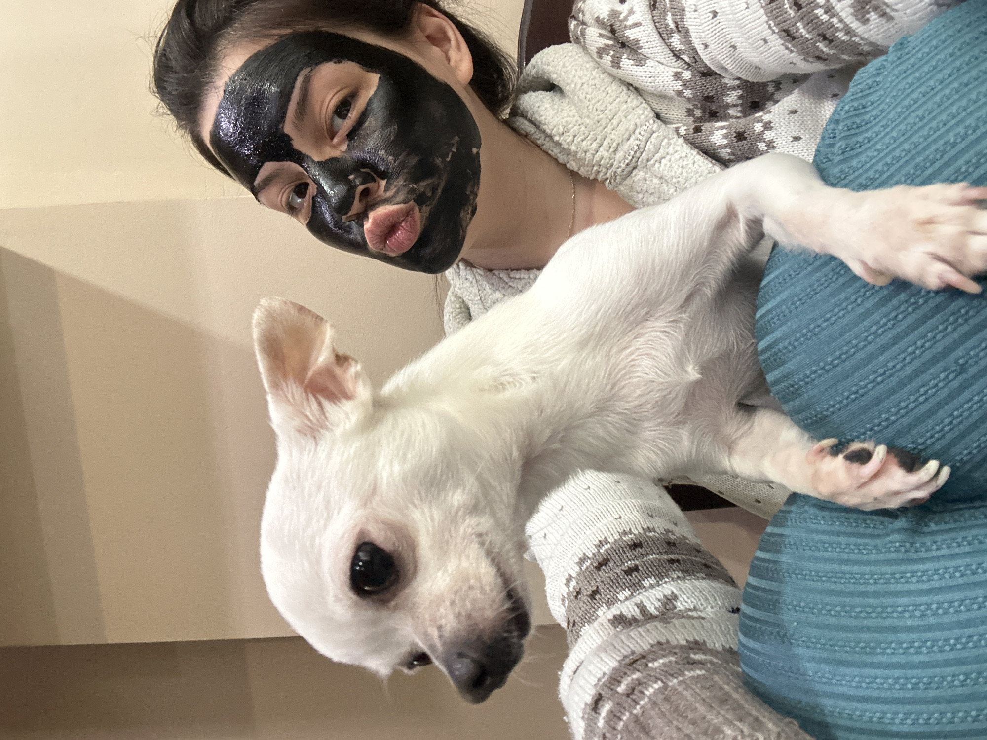 A woman wearing a black facial mask is positioned next to a white chihuahua. The woman is wearing a patterned sweater. The chihuahua is lying on what appears to be a blue cushion. The background consists of a beige wall. The location is not discernible from the image.