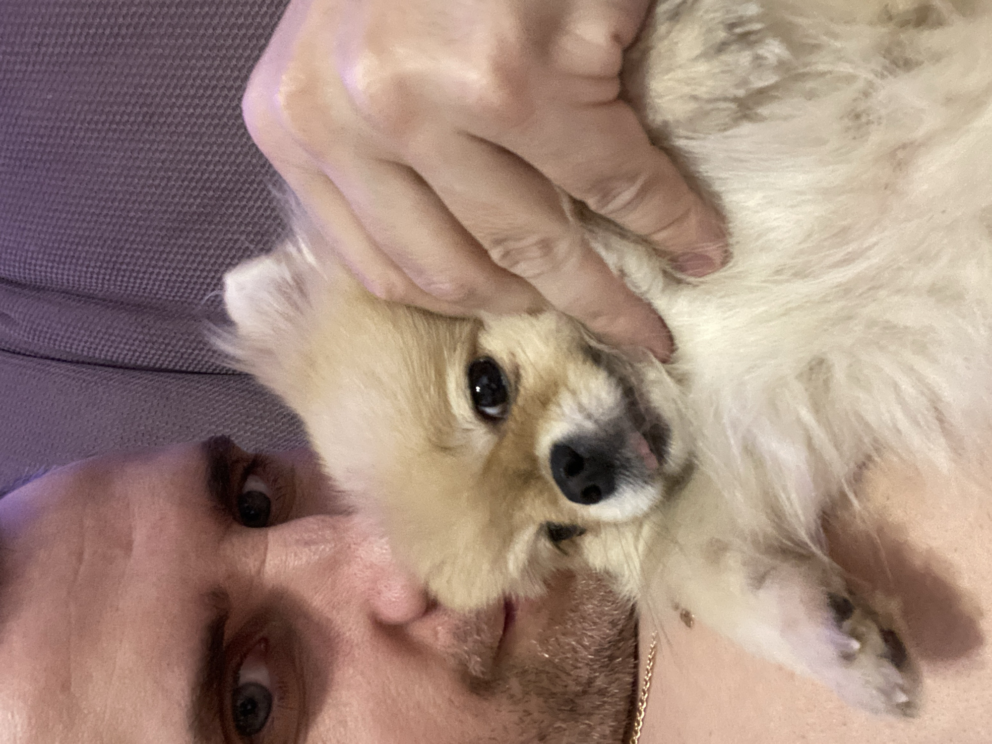 A selfie of a man holding a small, fluffy, cream-colored dog. The man has fair skin, light-colored eyes, and stubble. He is wearing a gray shirt and a gold chain. His hand is on the dog's back, and the dog is looking at the camera with dark eyes and a black nose. The location is unknown.