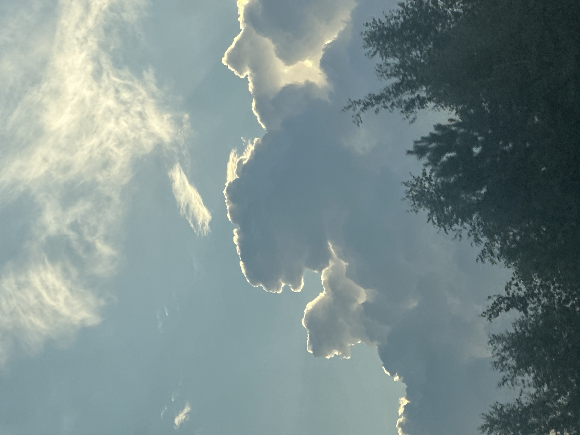 The image shows a cloudy sky above a line of trees. The clouds are lit from behind by the sun, creating a bright glow around their edges. Some of the clouds appear to be shaped like animals or faces. The trees are dark and silhouetted against the sky. The location is specified as Yarkovo, Russia, though no specific landmarks or identifying features are visible in the image to confirm this. There are no people or animals present in the image, and no actions or interactions are depicted. The environment is natural, consisting of sky and vegetation.