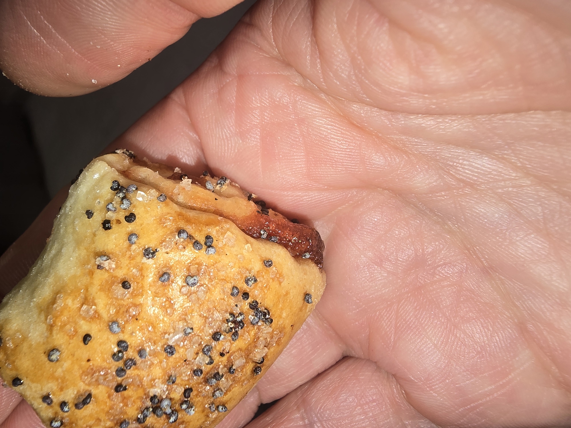 A close-up, high-angle shot shows a hand holding a pastry that appears to be a small, golden-brown roll topped with poppy seeds and coarse sugar. The pastry has a reddish-brown filling visible at the bottom edge. The hand, a portion of a thumb and index finger, and the palm are in focus, revealing skin texture and wrinkles. The background is dark and out of focus. There is no discernible information about the location in Ulan-Ude, Russia, or any environmental context.