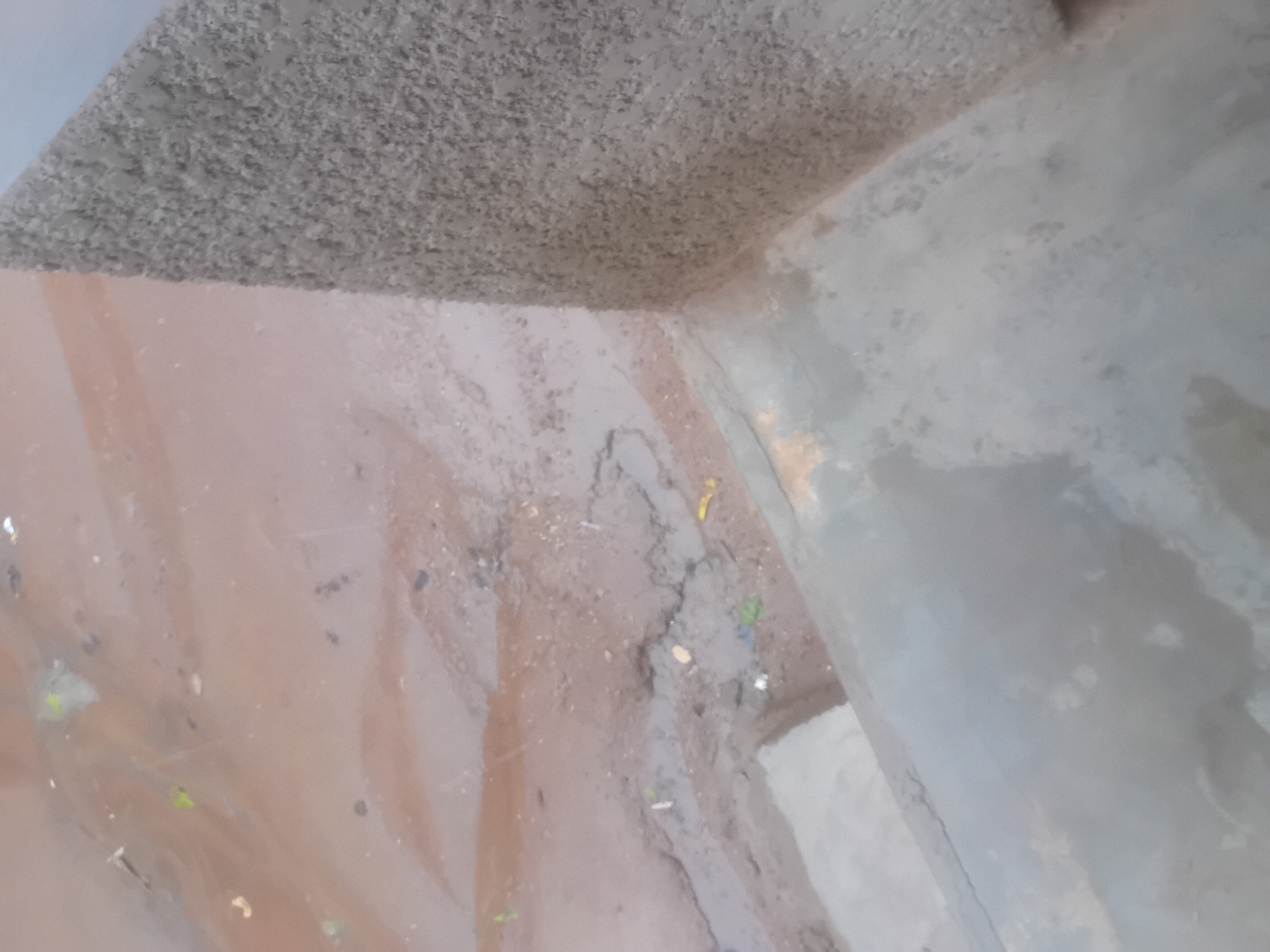 An overhead shot shows a concrete surface with a rough, textured wall on the right. A section of the concrete surface appears to be wet or stained with a reddish-brown material, creating a marbled or striated pattern. There are small specks of debris, including what appear to be small pieces of plastic and organic matter, scattered across the wet area. The rest of the concrete surface is a lighter grey, with some areas showing subtle staining or variations in color. The image does not contain any people or specific identifiable landmarks.