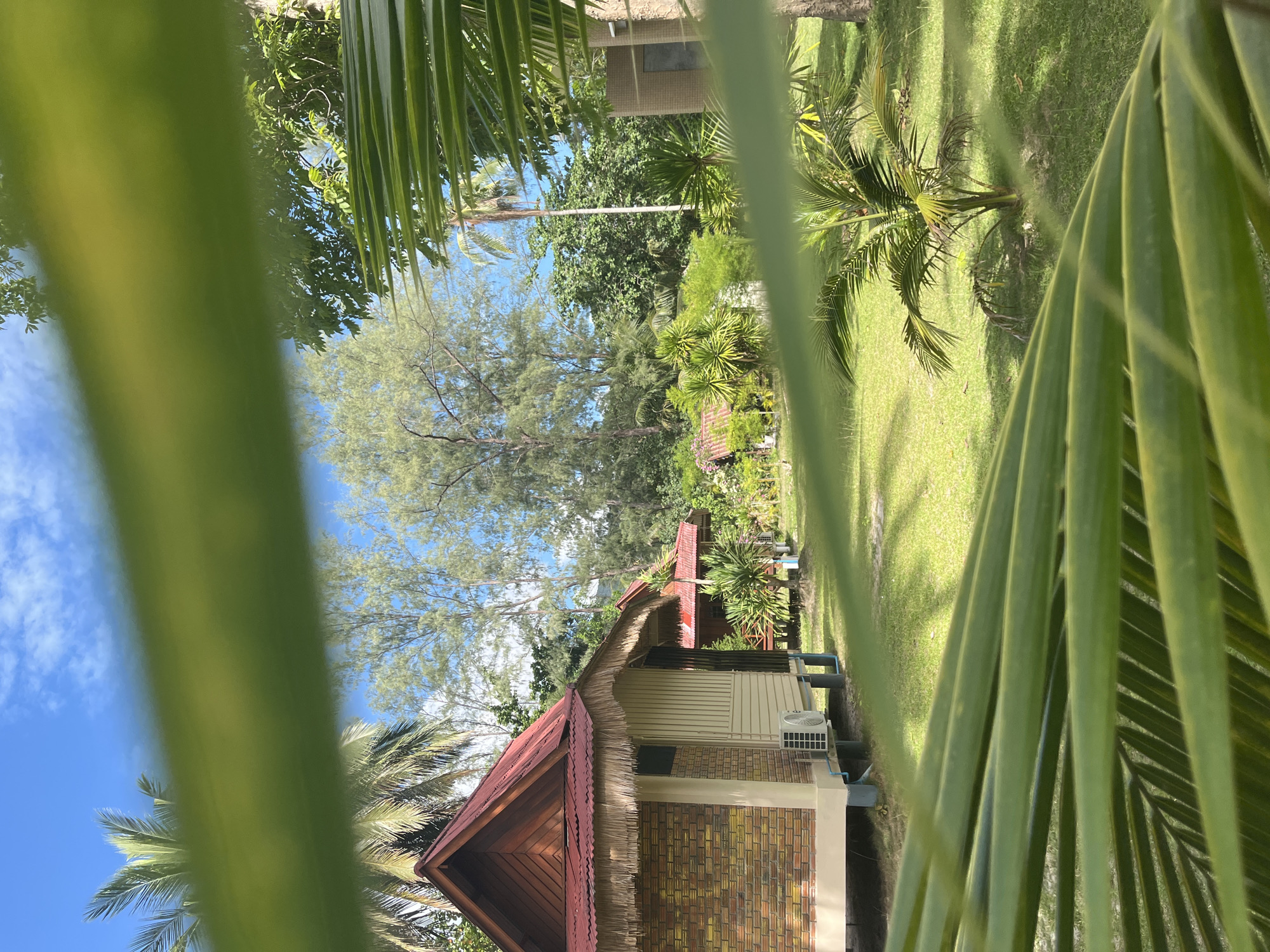 The image shows a tropical resort scene in Ko Pha Ngan, Thailand. In the foreground, large, blurred green palm fronds create a natural frame. Beyond the fronds, several small, elevated bungalows with red corrugated metal roofs and straw accents are visible. The bungalows have brick and light-colored siding and air conditioning units mounted on the exterior walls. A well-maintained green lawn surrounds the buildings, with scattered palm trees and other tropical vegetation. In the background, tall evergreen trees and a clear blue sky with scattered clouds complete the idyllic landscape. The overall impression is one of a peaceful, sunny day in a tropical paradise.