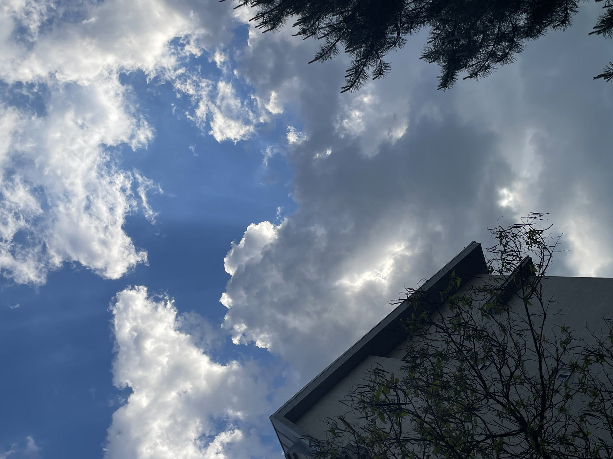 The image shows a view looking upwards towards the sky. Patches of blue sky are visible, interspersed with white and grey clouds. Sunlight beams down through a gap in the clouds. The upper right corner of a building with a sloping roof is visible, partially obscured by a bare tree. In the top right corner are the dark branches of what appears to be a coniferous tree. The location appears to be outdoors in an urban setting, but the specific city and location are unknown.