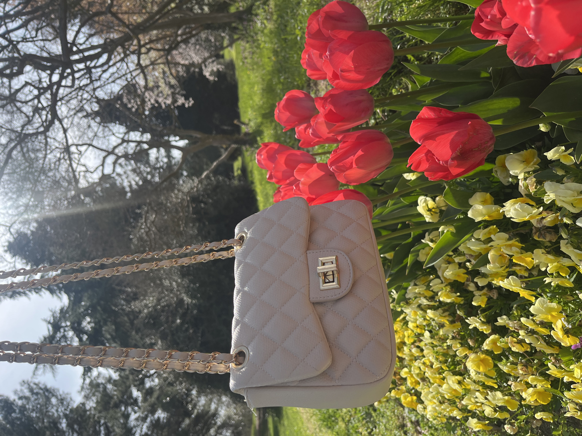 The image depicts a light-colored, quilted handbag with a gold chain strap, positioned near a vibrant display of red tulips and yellow pansies in a grassy area. In the background, a bare tree and foliage suggest an outdoor setting, possibly a park or garden. It’s difficult to know the exact location in Varna, Bulgaria based on this single picture.