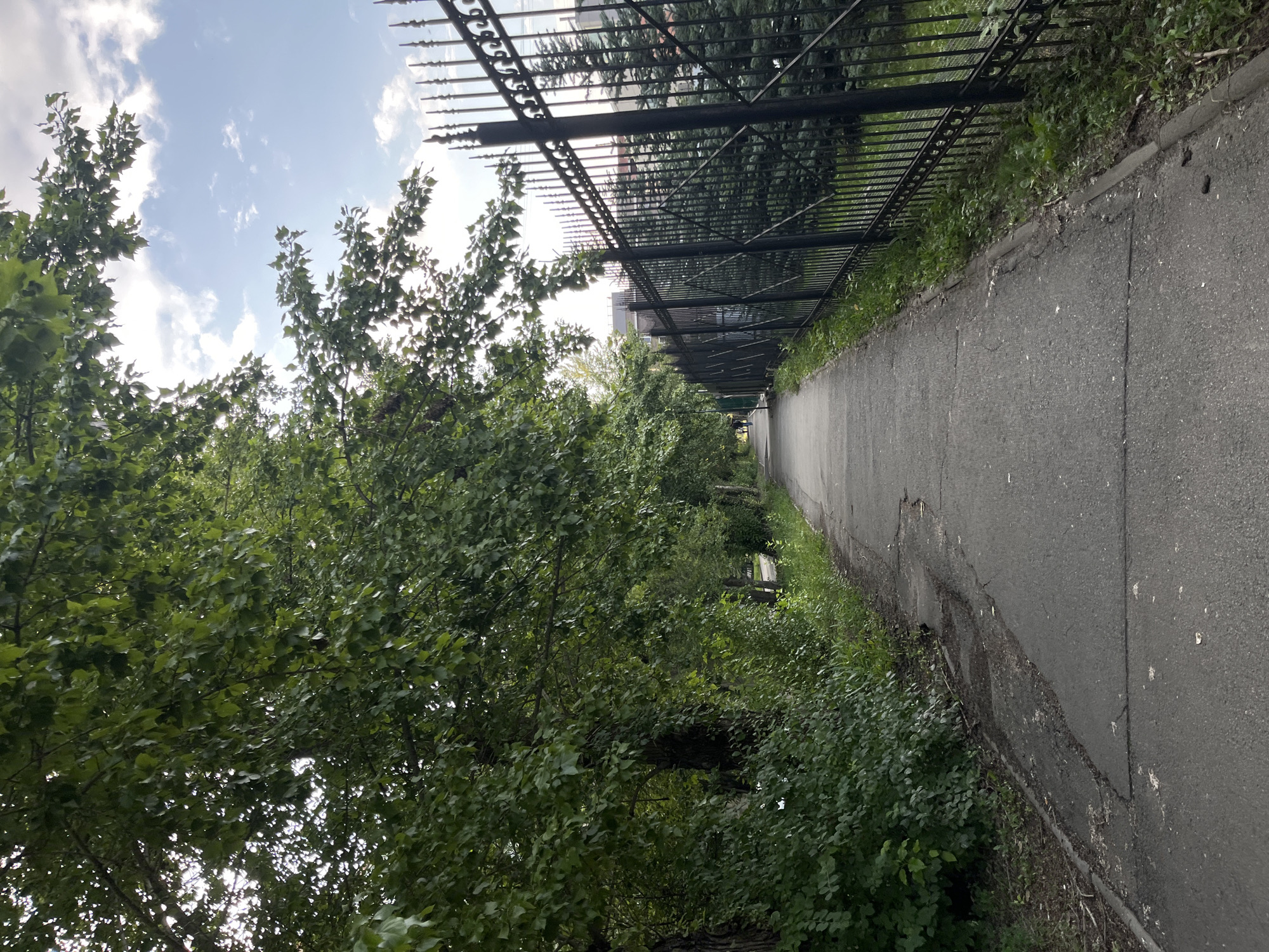 The image shows a paved pedestrian walkway lined with a black metal fence on the right and trees and dense foliage on the left. The walkway recedes into the distance, where a few indistinct figures can be seen walking. The fence appears to be ornamental, with pointed finials at the top. Behind the fence, evergreen trees are visible, and beyond them, buildings can be seen. The sky is partly cloudy. The walkway shows signs of wear, with cracks and uneven patches in the pavement. The scene appears to be a street or park within the city of Chelyabinsk, Russia, given the context provided.