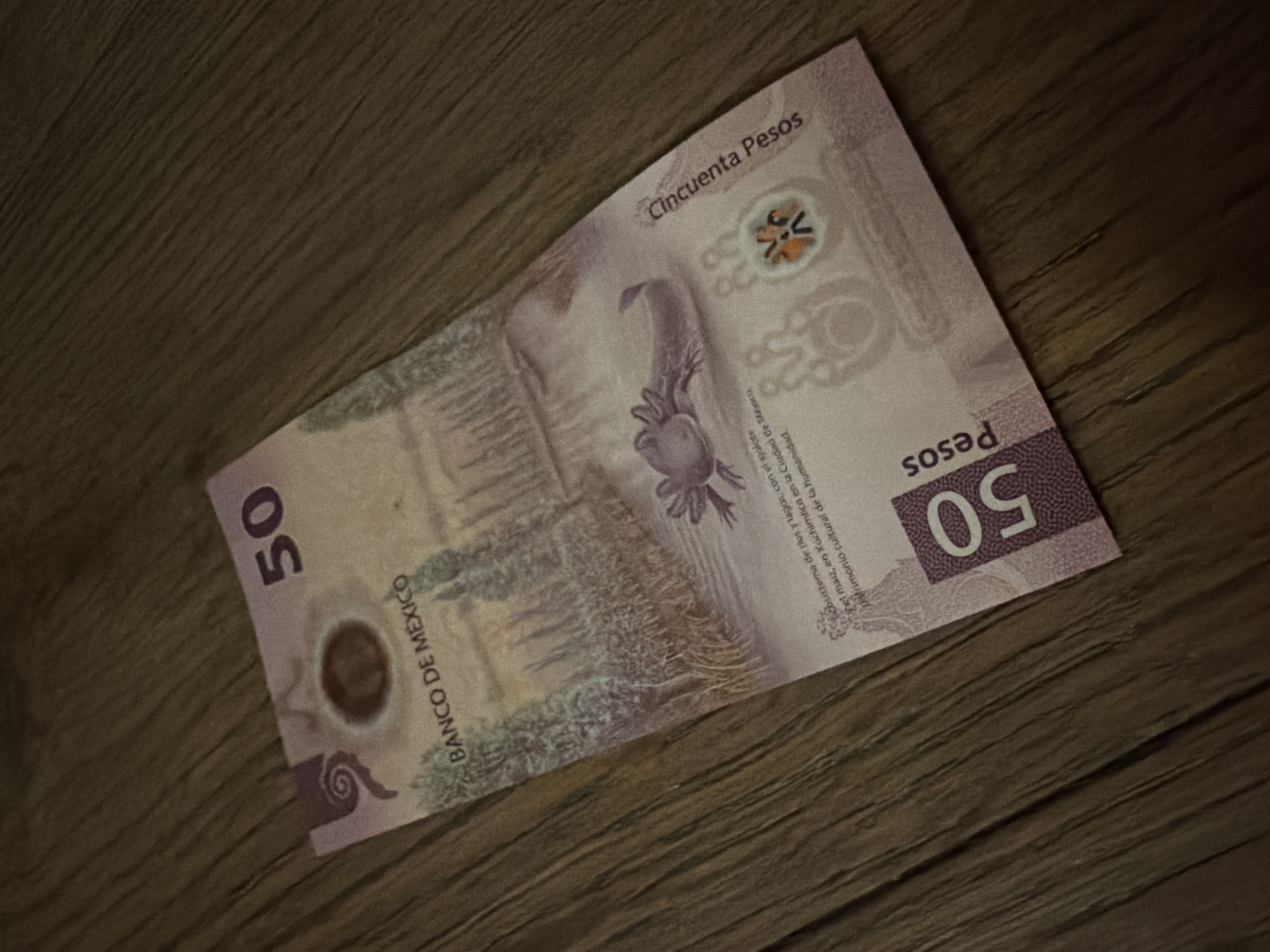 The image displays a Mexican 50 peso banknote resting diagonally on a dark, textured wooden surface, likely a table, in an indoor setting. The banknote, consistent with the current Series G design, is predominantly purple with lighter tones and is shown from its reverse side.
The central design prominently features an axolotl (a type of salamander) in a body of water, surrounded by a landscape depicting chinampas (floating gardens) and maize plants, which are characteristic of Xochimilco in Mexico City. This intricate illustration represents the "Sistema de ríos y lagos, con el ajolote y el maíz, en Xochimilco en la Ciudad de México, patrimonio cultural de la humanidad," as partially visible in the text on the note.
Visible text includes "BANCO DE MÉXICO" vertically along the left side, the numerical value "50" in both the upper-left and lower-right corners, and the word "Pesos" accompanying the lower-right "50". "Cincuenta Pesos" is written along the top edge of the banknote. The lighting is dim, suggesting evening or subdued indoor conditions, which enhances the texture of the wooden surface. The banknote appears slightly crinkled in the middle. The context provided indicates the location is Puebla, Mexico.
