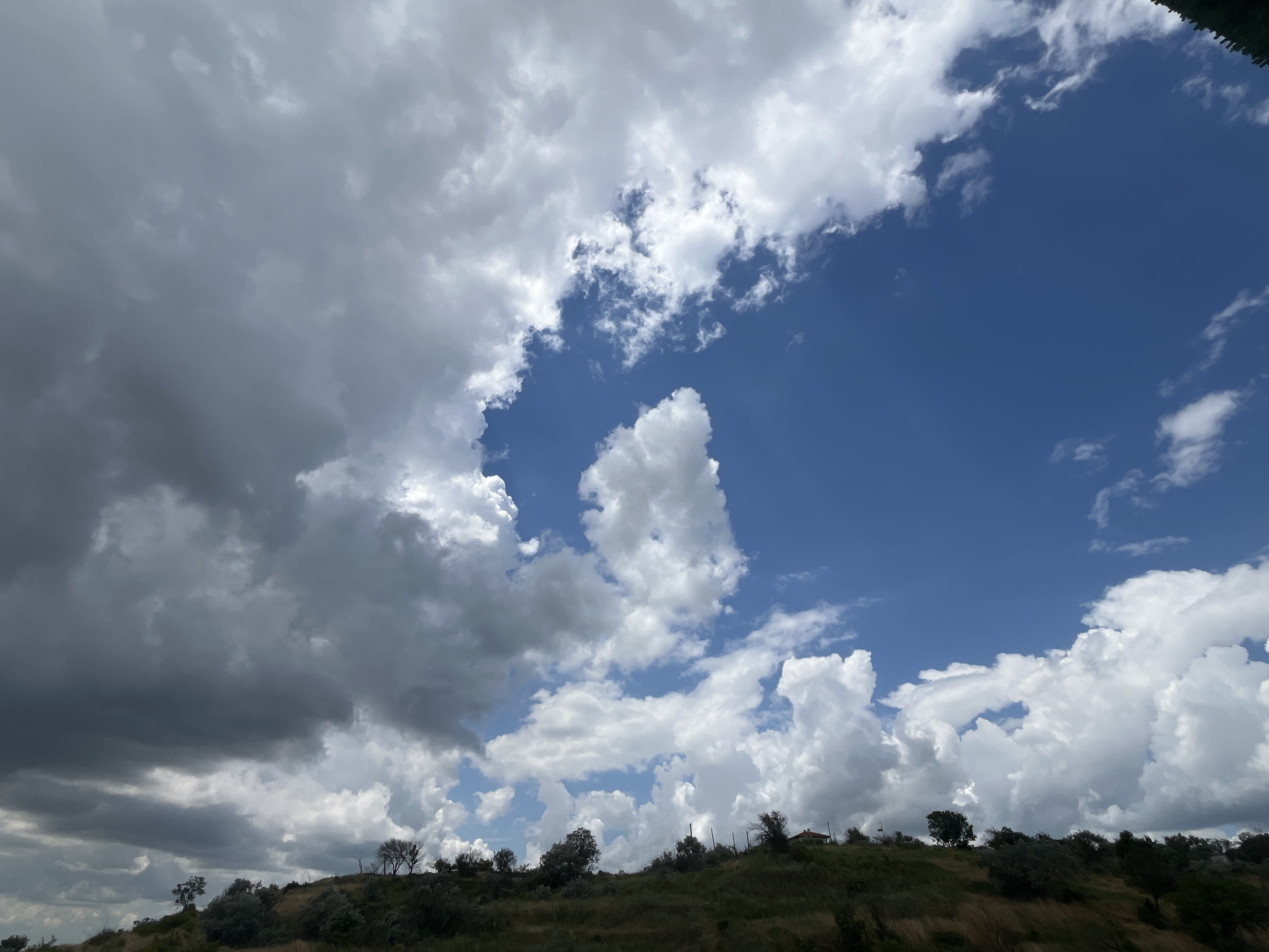 The image depicts a cloudy sky over a hilly landscape. The sky is a mix of dark, stormy clouds on the left and bright, fluffy white clouds on the right, with patches of clear blue sky visible in between. The foreground shows a rolling hill covered with dry grass and scattered trees. On the crest of the hill, several trees are visible, some appearing bare, and a small building with a red roof can be seen on the far right. The scene appears to be an outdoor environment, possibly a park or natural area on the outskirts of a city. The lighting suggests it is daytime, with the sun partially obscured by the clouds. The location is identified as the city of Varna, Bulgaria.