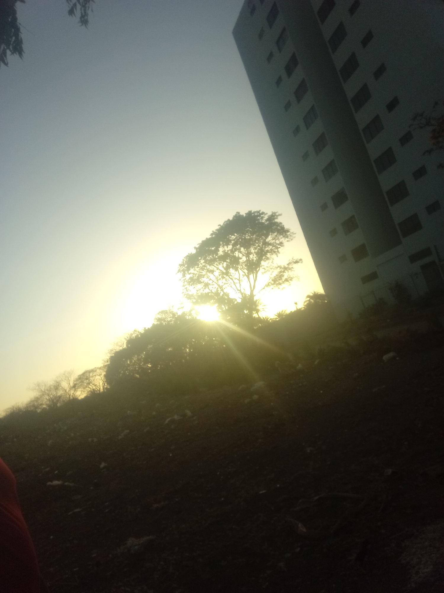 The image shows a ground-level view in Juan Griego, Venezuela, captured during a bright, hazy sunrise or sunset. The foreground is dark, showing rough terrain with sparse vegetation and indeterminate objects scattered on the ground.
A grove of trees, backlit by the sun, creates a silhouette effect. The intense sunlight flares around the trees, obscuring the details of their foliage.
To the right of the trees, a tall, light-colored building dominates the scene. The building appears to be multi-storied and has a grid-like pattern of windows.
The sky is a gradient of light blue and yellow, indicating the time of day. There are no people visible in the image.