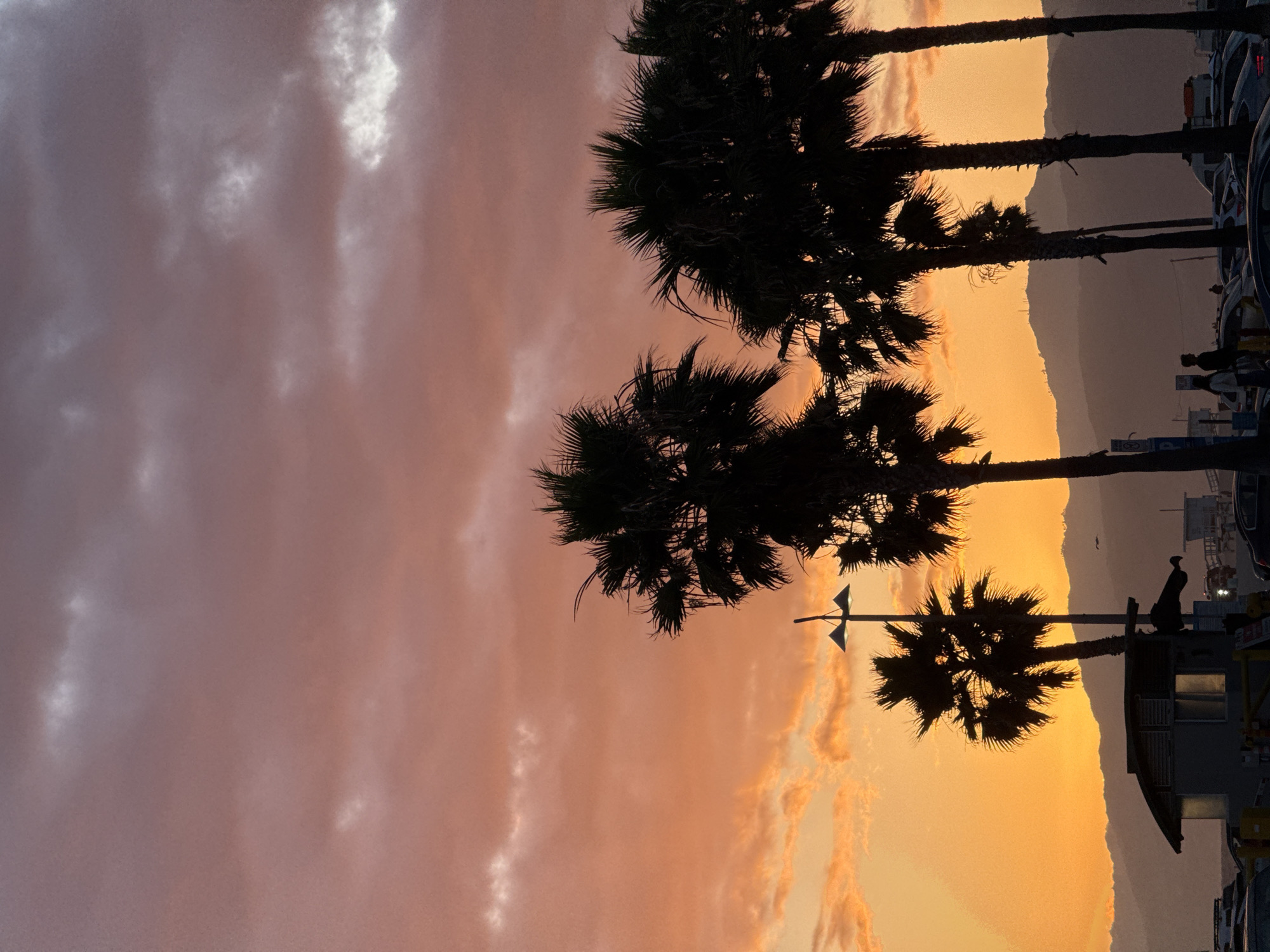 The image depicts a sunset over Los Angeles, California, in the United States. Silhouetted palm trees are in the foreground. The sky is a blend of orange and pink hues, with clouds visible. Mountains are in the distance. A street light stands near a building. Silhouetted figures and cars can be seen.