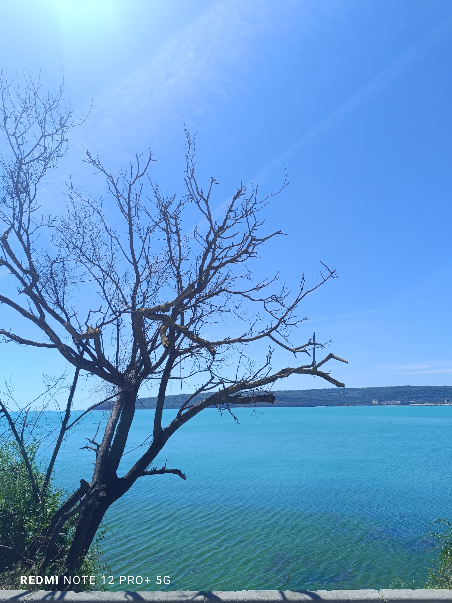 A view of the Black Sea in Varna, Bulgaria, is captured from a slightly elevated position near a stone barrier. In the foreground, the stark branches of a leafless tree reach towards the clear blue sky, contrasting with the turquoise water below. The sea extends towards a distant coastline with forested areas and some buildings visible. The water has a slight ripple, indicating a gentle breeze. Bright sunlight illuminates the scene, creating a lens flare in the upper-left corner of the frame. The words "REDMI NOTE 12 PRO+ 5G" are printed in the lower-left corner.
