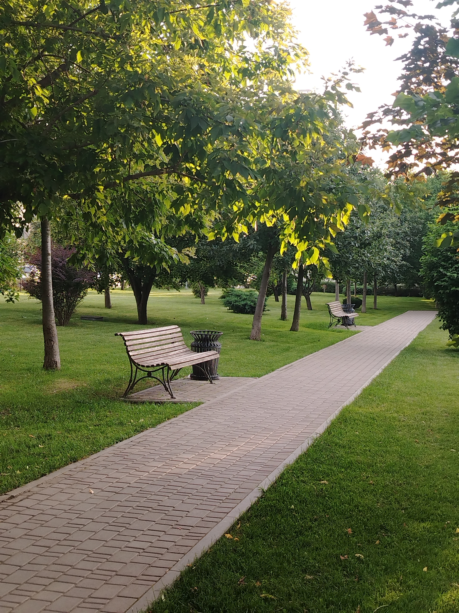 The image depicts a sunlit park pathway lined with trees. The pathway, paved with light-colored rectangular bricks, curves into the distance. To the left of the pathway, a wooden park bench with an ornate metal frame sits on a well-maintained green lawn. Next to the bench is a dark-colored trash receptacle. The lawn is dotted with trees, some with their leaves illuminated by sunlight, creating a dappled effect. In the background, more trees and shrubbery create a lush, green environment. The sky above is bright, suggesting a clear day. This park scene is likely located in Krasnodar, Russia, given the provided context. There are no people or animals visible in the image.