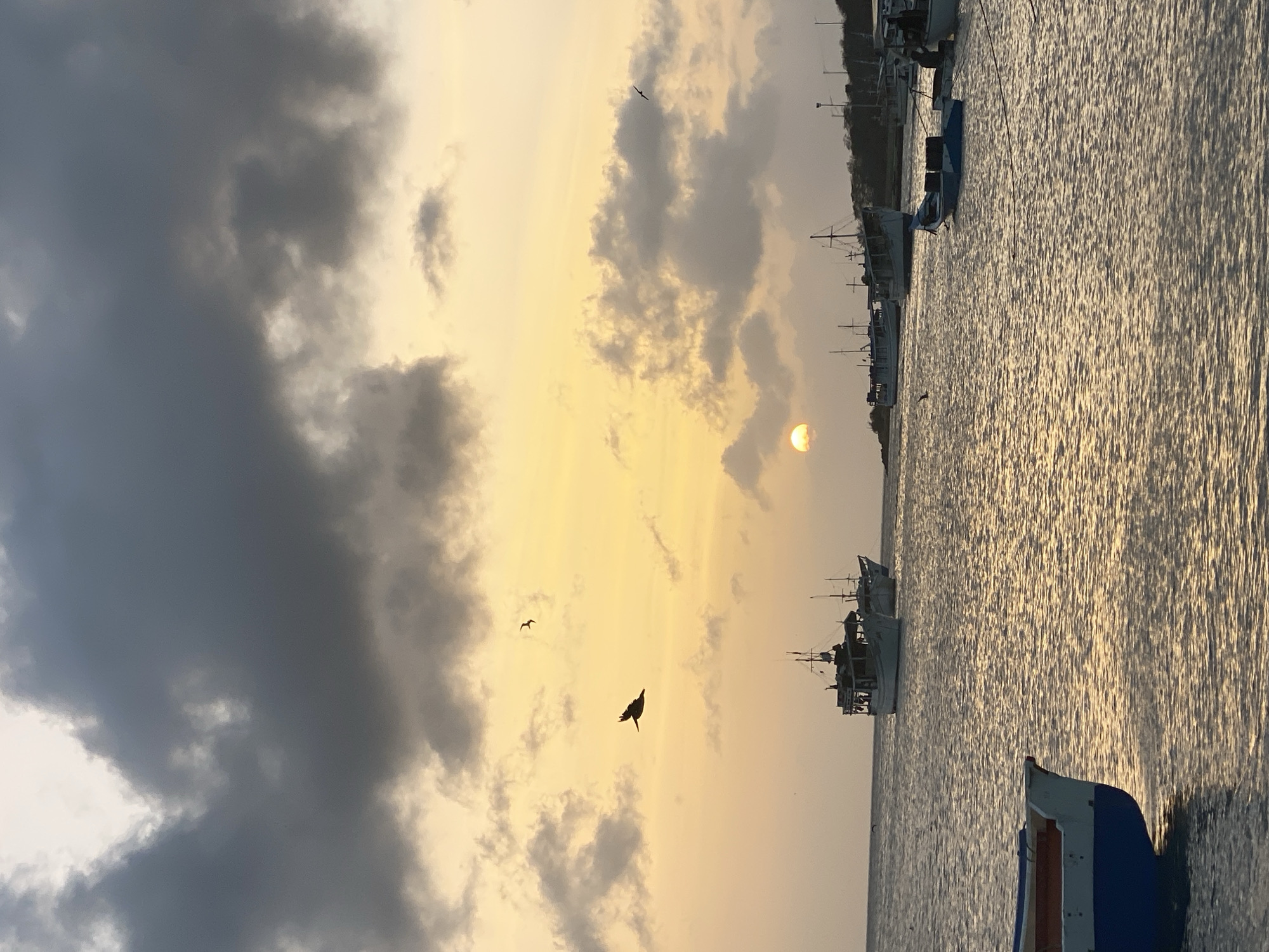 The image captures a sunset scene in Juan Griego, Venezuela. In the sky, the sun is visible, partially obscured by clouds. Silhouetted birds are scattered throughout the sky. The water shows reflections of the setting sun, with several boats docked along the edge. The image is taken from the ground, with the lower section of one boat being visible at the bottom of the frame.