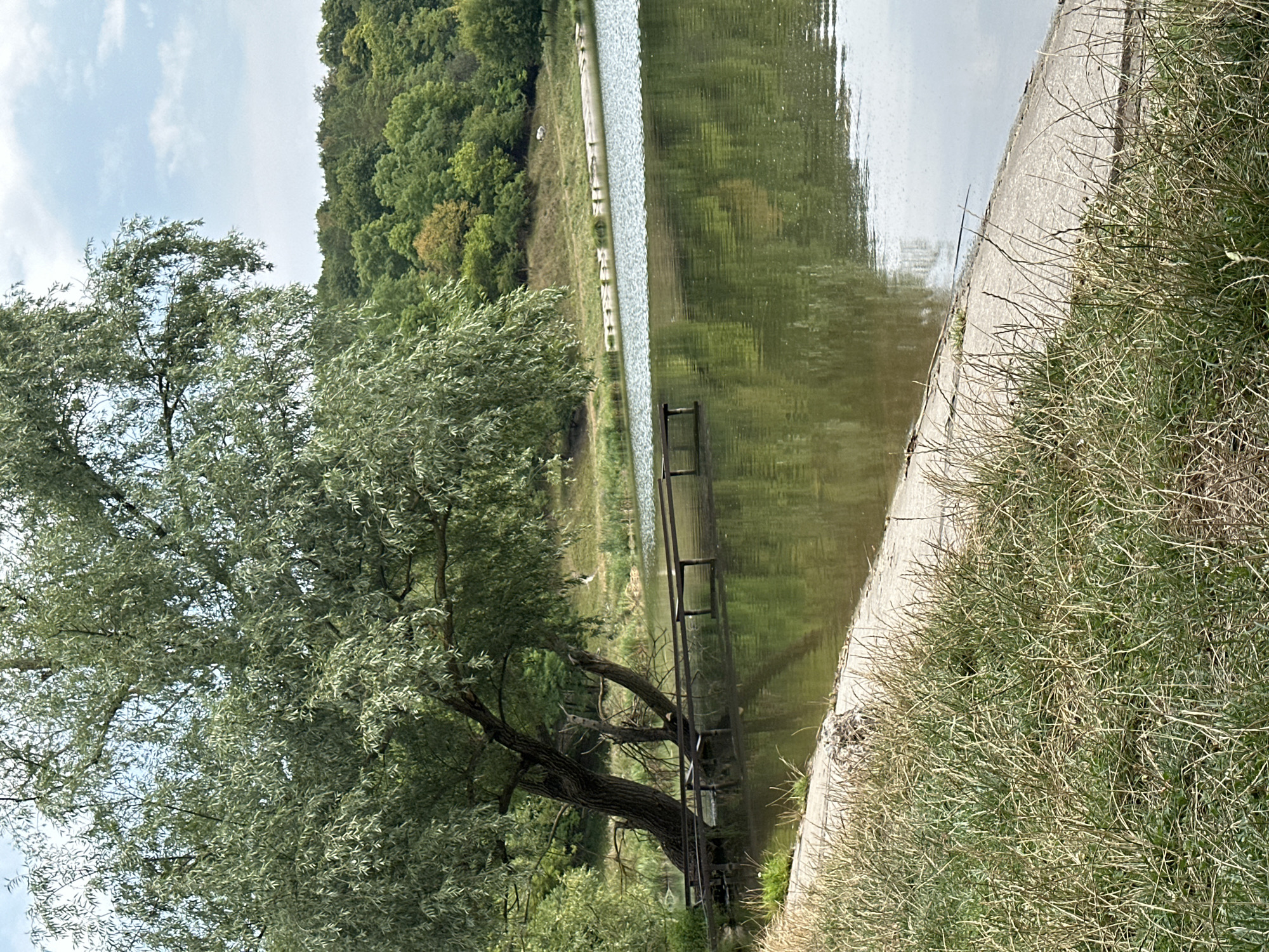 A serene natural landscape unfolds in Makiv, Ukraine, featuring a calm body of water reflecting the surrounding lush greenery. On the left bank, a large tree with abundant, light-green foliage extends over the water, its branches reaching towards the surface. A weathered wooden pier juts out into the lake, appearing somewhat dilapidated, with several planks missing or broken. The foreground is characterized by dry, yellowed grass lining a concrete embankment that slopes gently towards the water. Across the lake, a densely wooded hillside rises, its trees a mix of vibrant green and autumnal hues, with a hazy sky overhead. The overall impression is one of a quiet, somewhat neglected, natural recreational area.