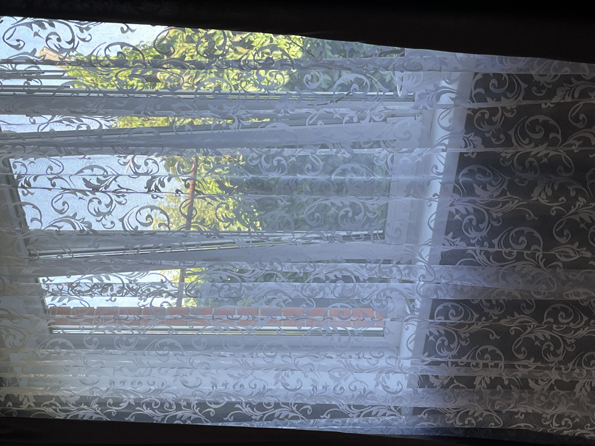 The image shows a window covered with a sheer white lace curtain with a floral pattern. Through the curtain, sunlight illuminates the scene, revealing a view of lush green trees and foliage outside. The window frame appears to be white, and a window sill is visible below. The curtain is partially drawn, creating folds and shadows that add depth to the image. The overall impression is one of a bright, natural light filling a room. The location of this scene in Saratov, Russia, is unknown as there are no visual cues to suggest a specific geographic location.