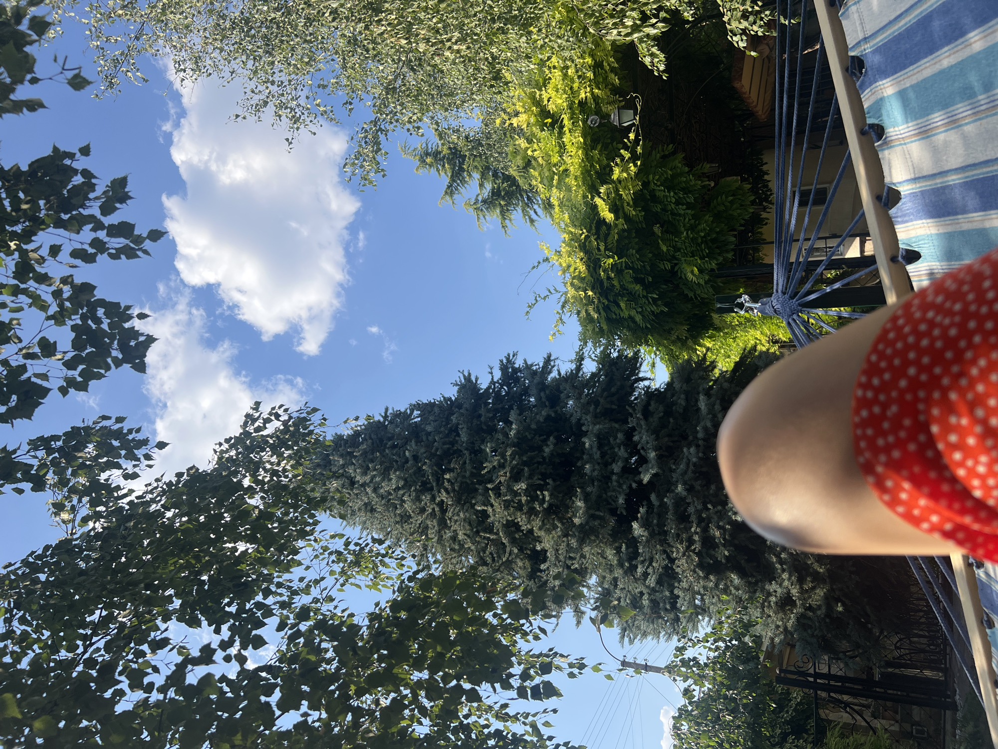 The image shows a close-up of a person's leg, clad in a red and white polka dot dress, resting on a blue and white striped hammock. The leg is positioned in the foreground, blurring into the scene. In the background, lush green trees and a tall pine tree are visible against a bright blue sky with scattered white clouds. The environment suggests a park or backyard setting, possibly in the city of Bender, Moldova, given the presence of what appears to be a fence and a utility pole on the left side of the frame. The overall scene evokes a relaxed, summery atmosphere.