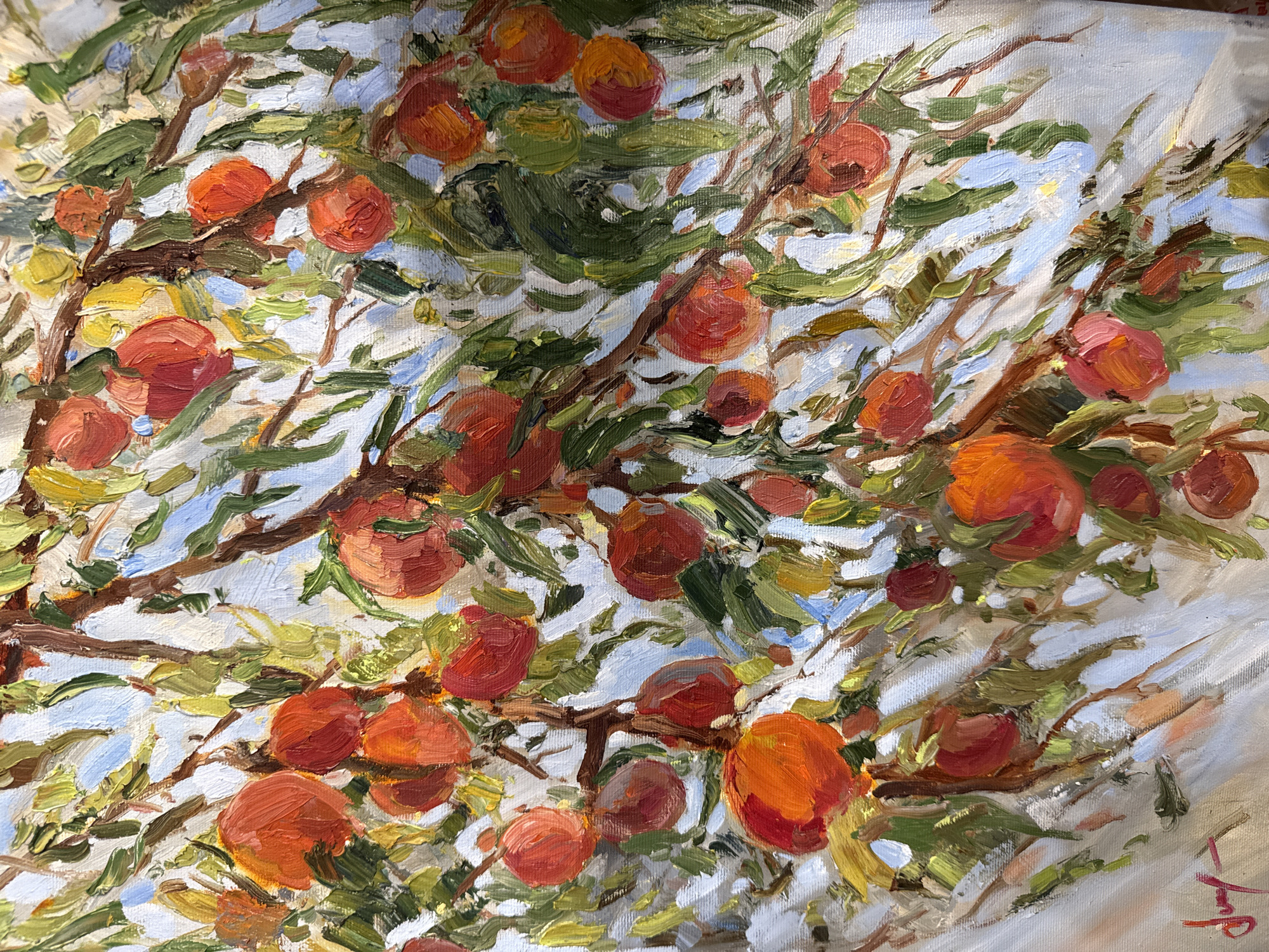 This is an oil painting of a fruit tree, likely a peach or nectarine tree, laden with ripe fruit. The brushstrokes are thick and impressionistic, with vibrant colors of red, orange, and yellow for the fruit, set against a backdrop of green leaves and dappled blue sky. The branches of the tree are a deep brown, crisscrossing the canvas. The painting is signed in the lower left corner with a flourish in red paint. The image does not contain any identifiable landmarks or specific details that would allow for precise location in Herceg Novi, Montenegro.