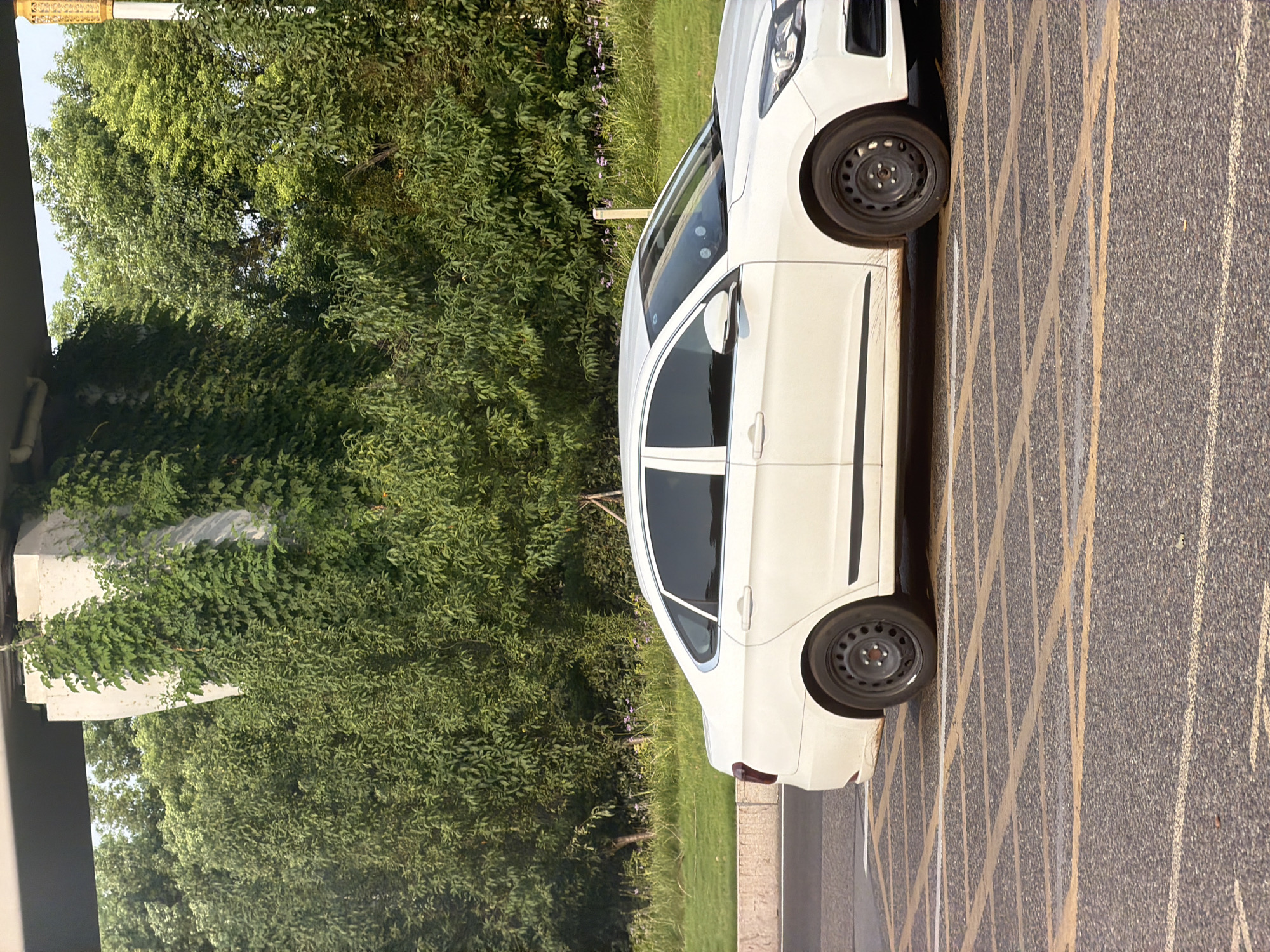The image shows a white sedan parked on a roadway marked with yellow grid lines. The car is positioned in the foreground, with its right side visible. The background features lush green trees and vegetation, with a concrete structure, possibly a bridge support, partially covered in ivy. A street lamp with an ornate gold top is visible on the right side of the image, and a small patch of purple flowers can be seen in the distance. The sky is bright and clear, suggesting daytime. The scene is situated on a road in the city of Jiangjin, China.