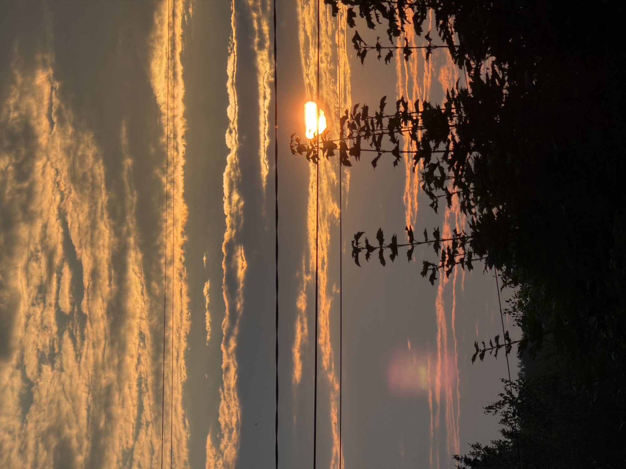 The image shows a sunset over the city of Foky, Russia. The sun is setting behind a line of trees, and the sky is filled with orange and pink clouds. There are also some power lines in the foreground. The overall mood of the image is peaceful and serene.